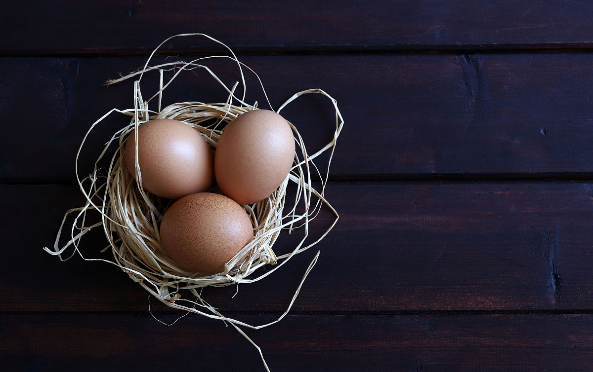 先有鸡还是先有蛋