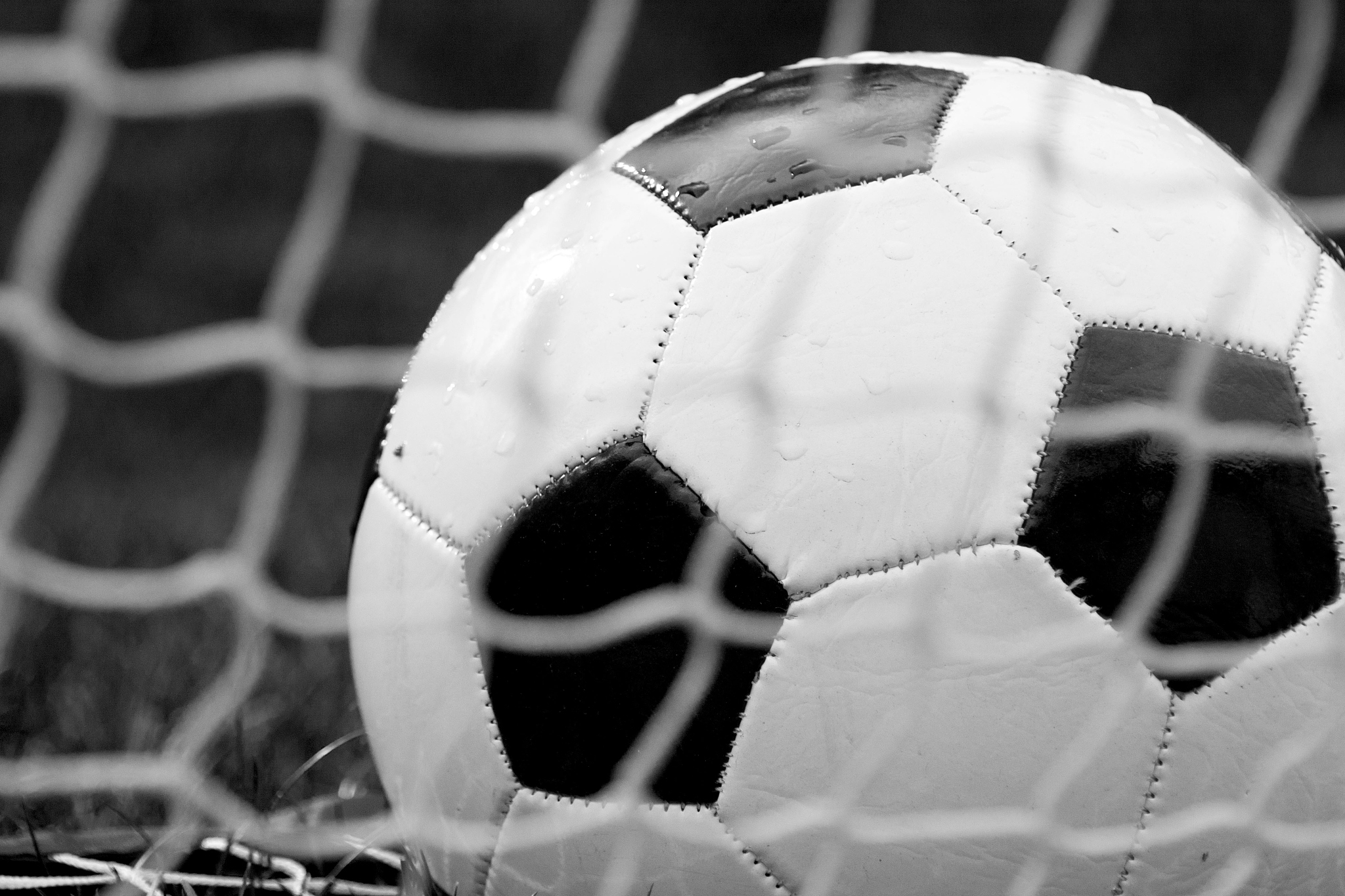 soccer ball