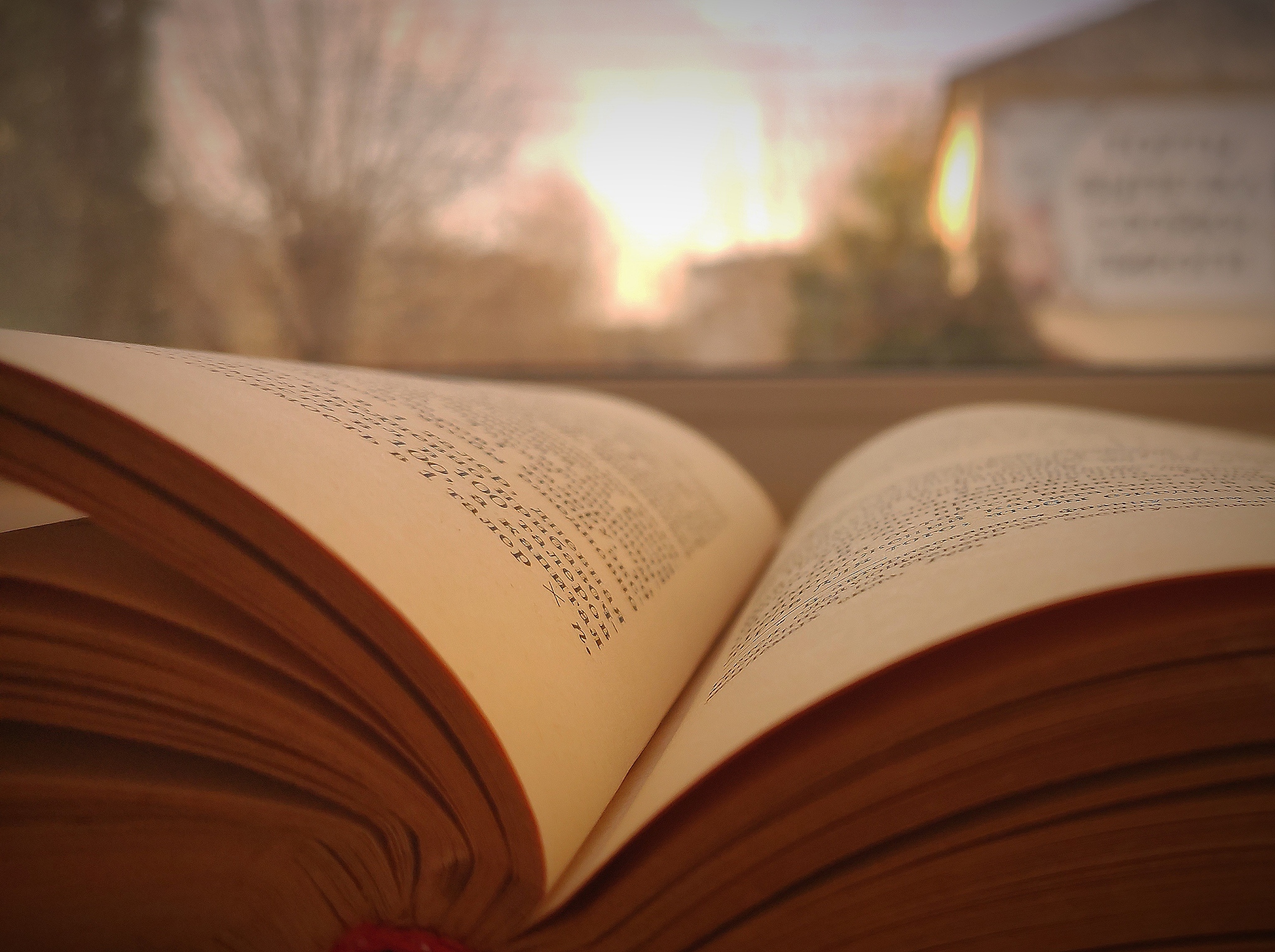 走进阅读背后的世界：探索知识、智慧与想象