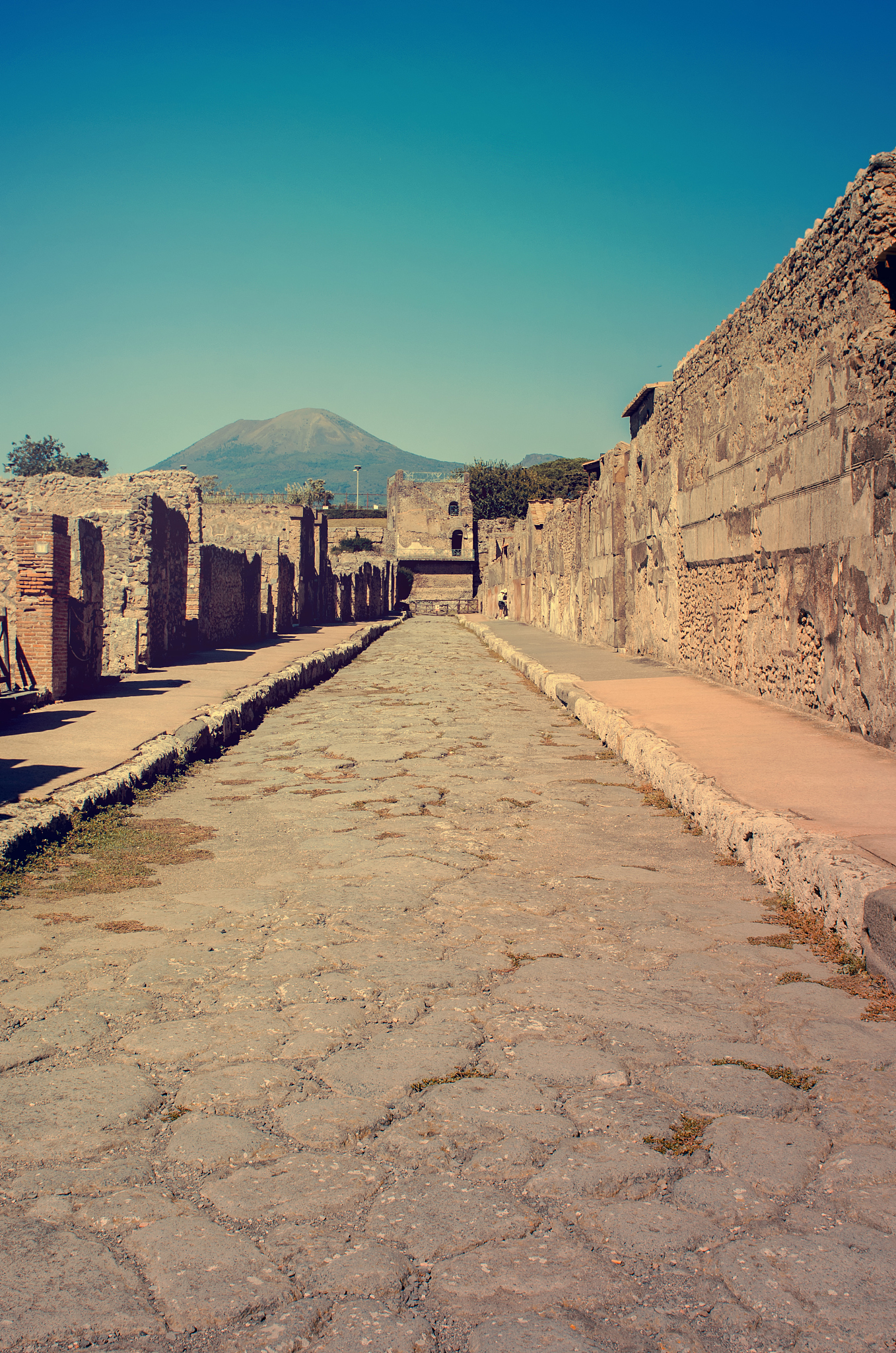 Pompeii Death Toll: How Many Died in Vesuvius Eruption?