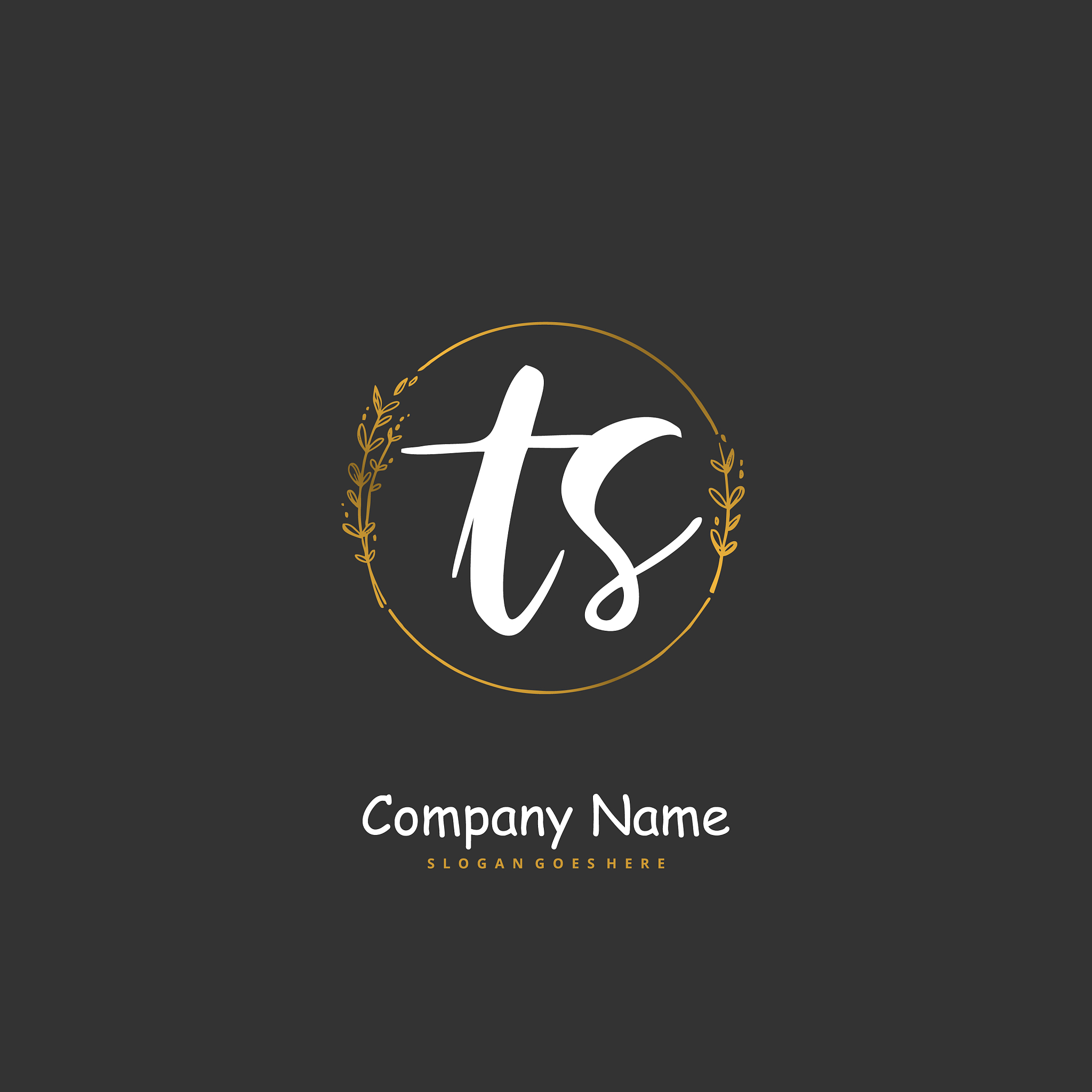 t s ts initial handwriting and signature logo