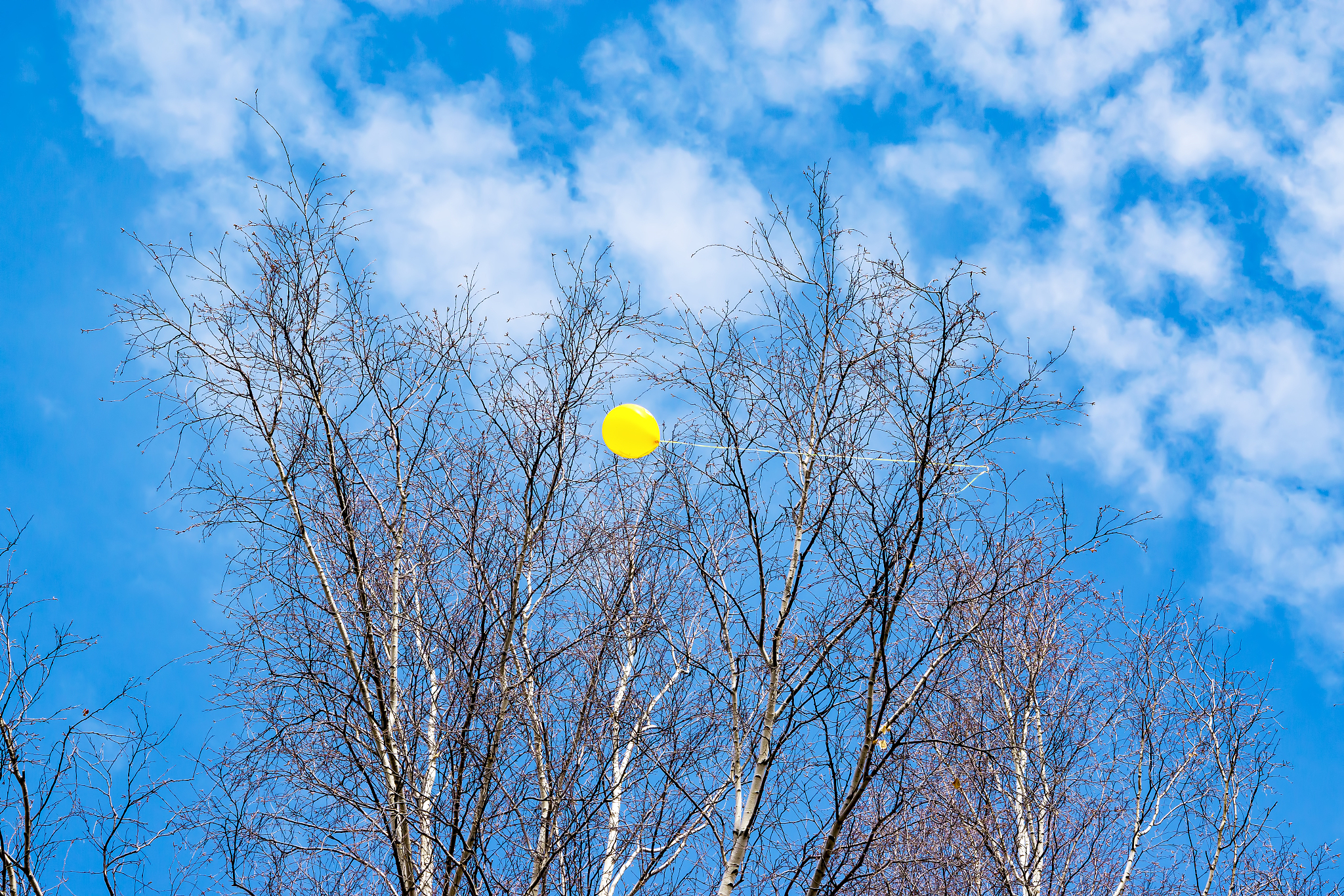 望远晴空浮云飘咋乃星月已归家。楼台歌韵鼓琴箫欢聚满堂宾客佳。