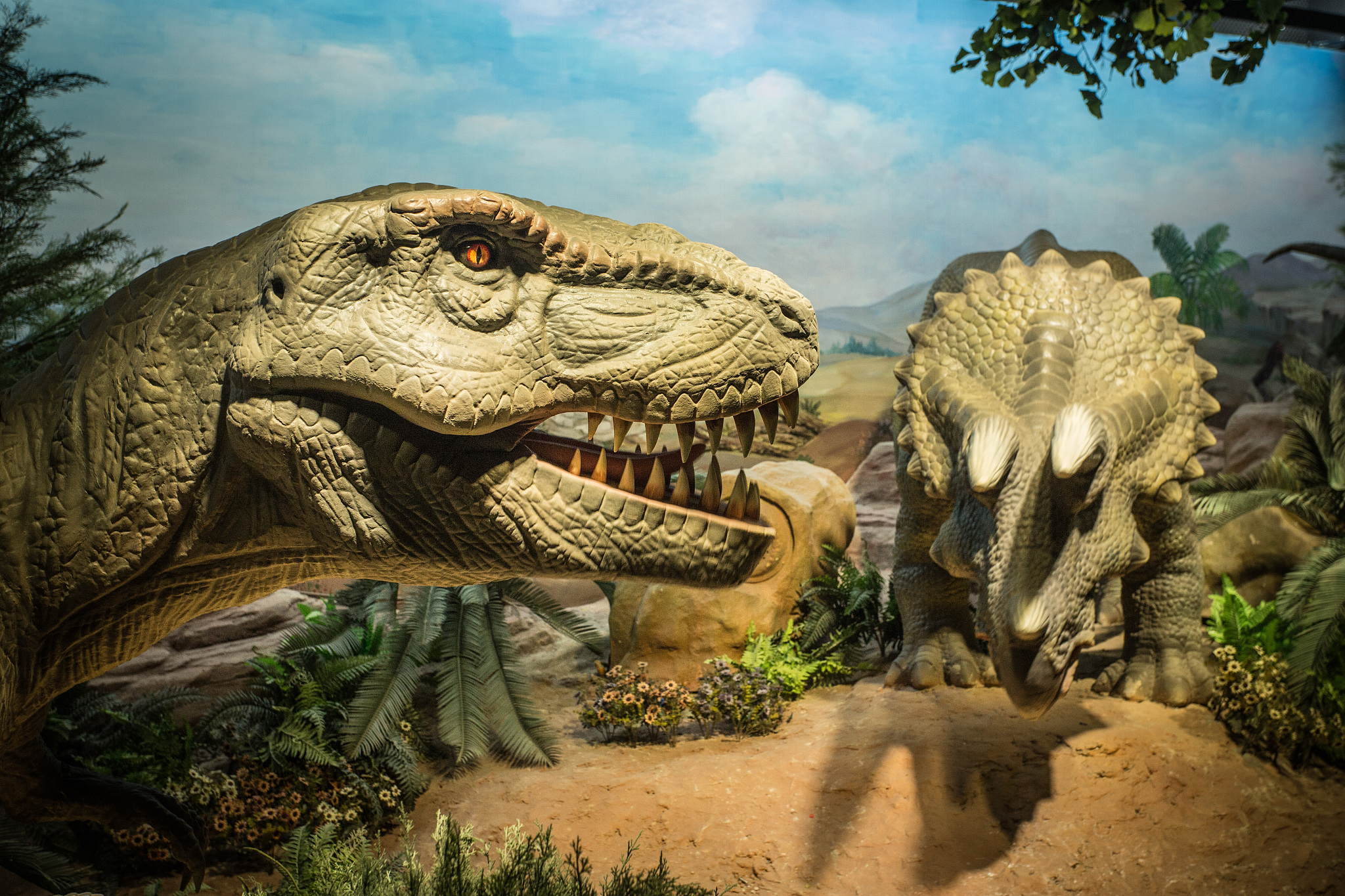 tyrannosaurus rex and triceratops