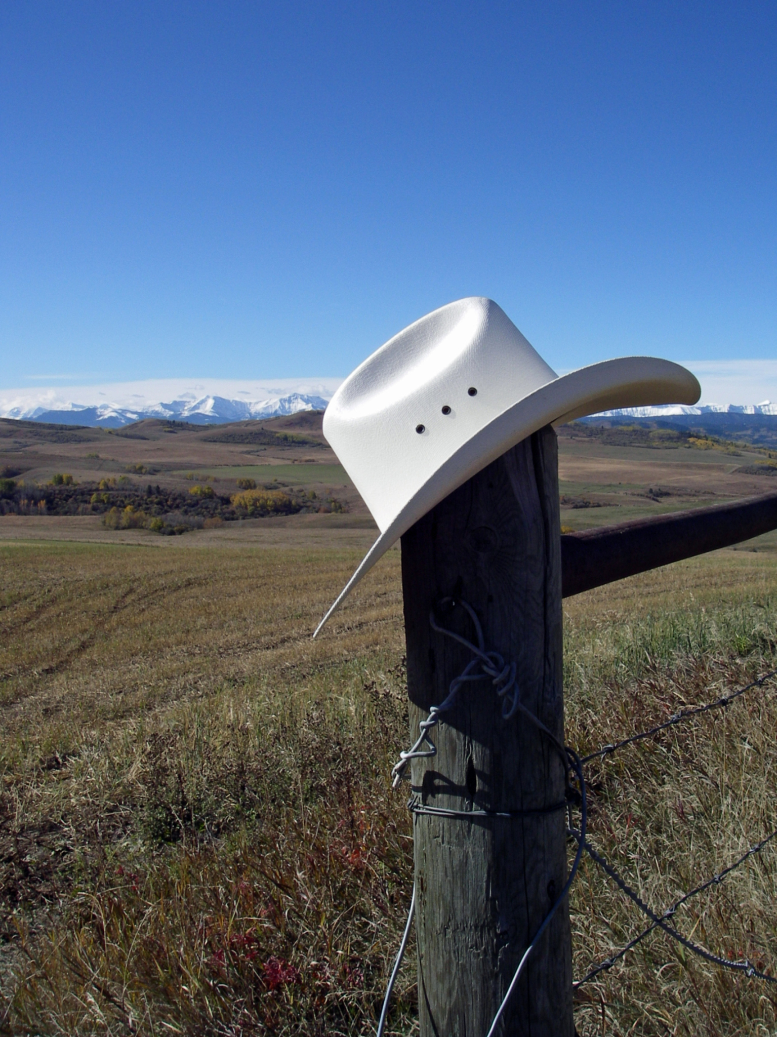 pole hat