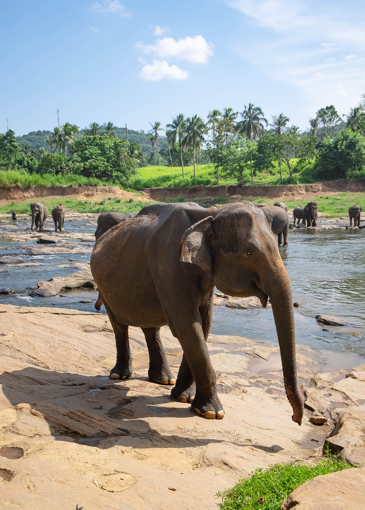斯里兰卡科伦坡旅游景点推荐：必去打卡地