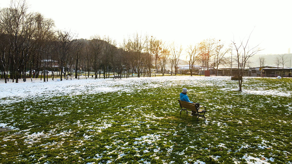 梳理一下内容：滨河东区道路柳絮问题严重天天刮的睁不开眼有的小孩还过敏别的地方都没有就这条路上太多了。
