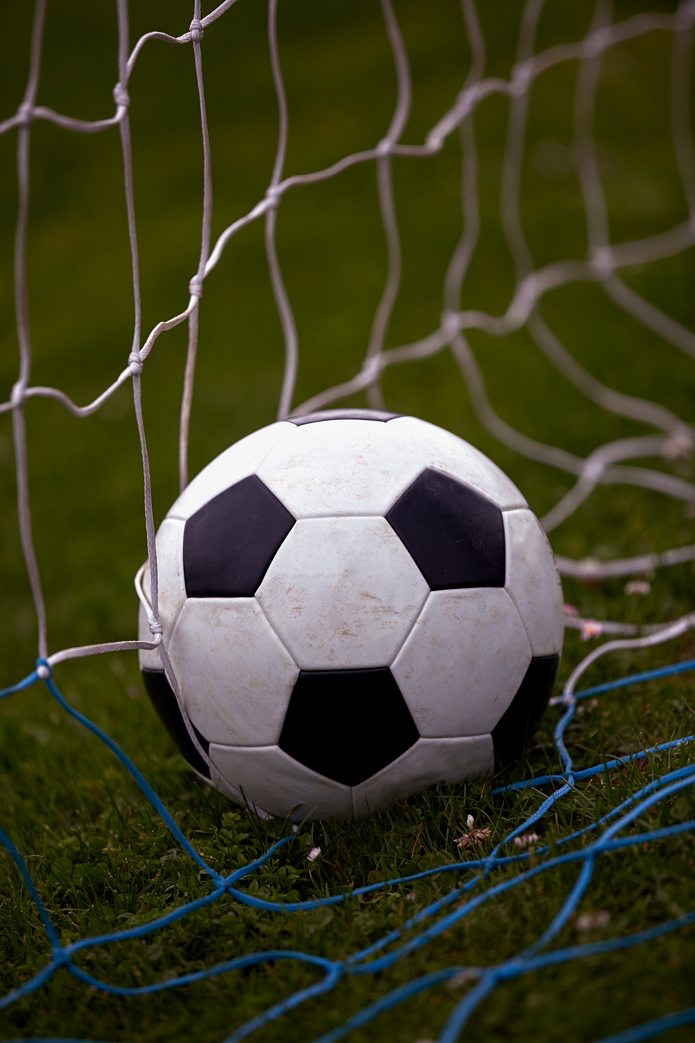 soccer ball