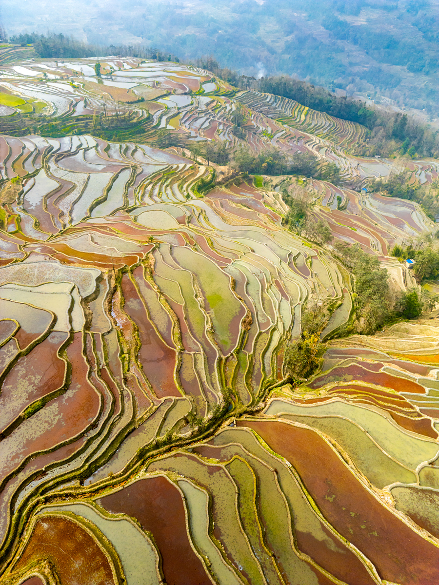甘肃庄浪梯田介绍？