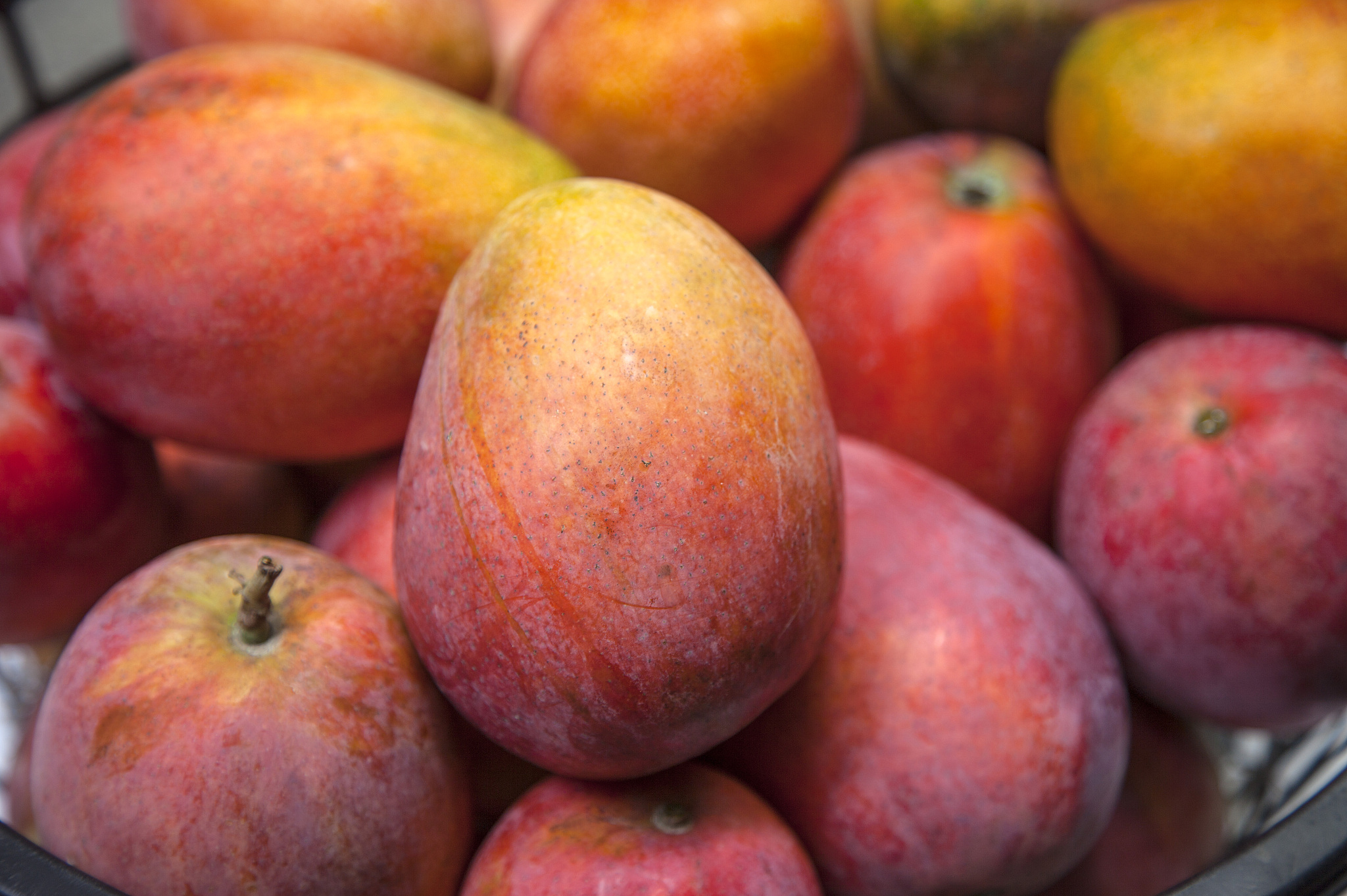 文献分析法在百色芒果田东芒果文化节旅游开发研究中的应用