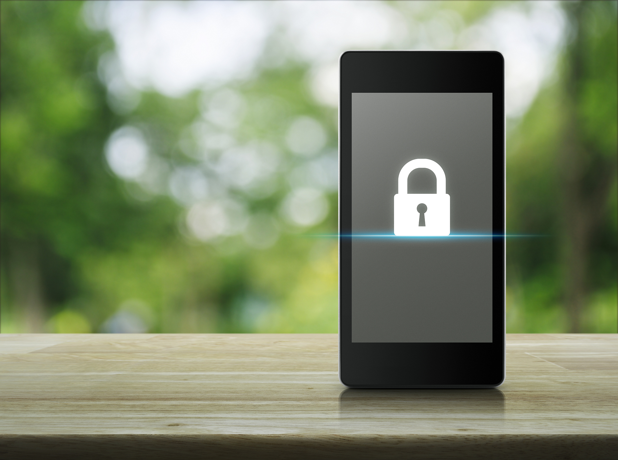business internet security concept