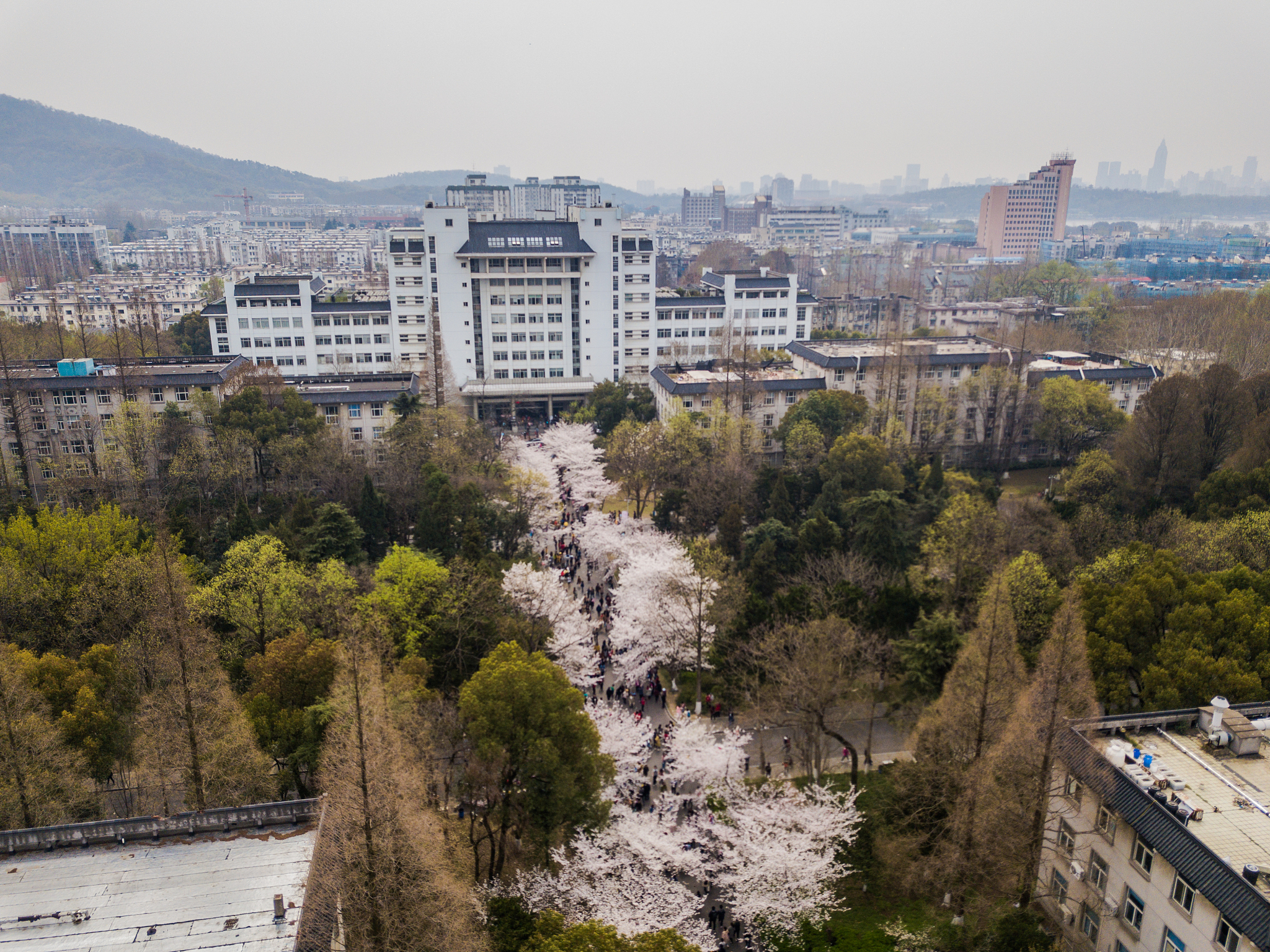 甘肃林业职业技术学院专业介绍：林业工程技术、森林资源保护与管理等