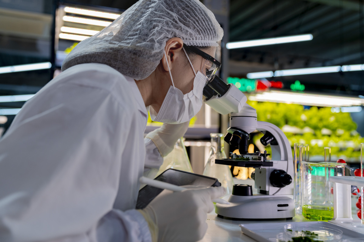 低温冷冻电镜项目：揭示生物与材料结构的利器