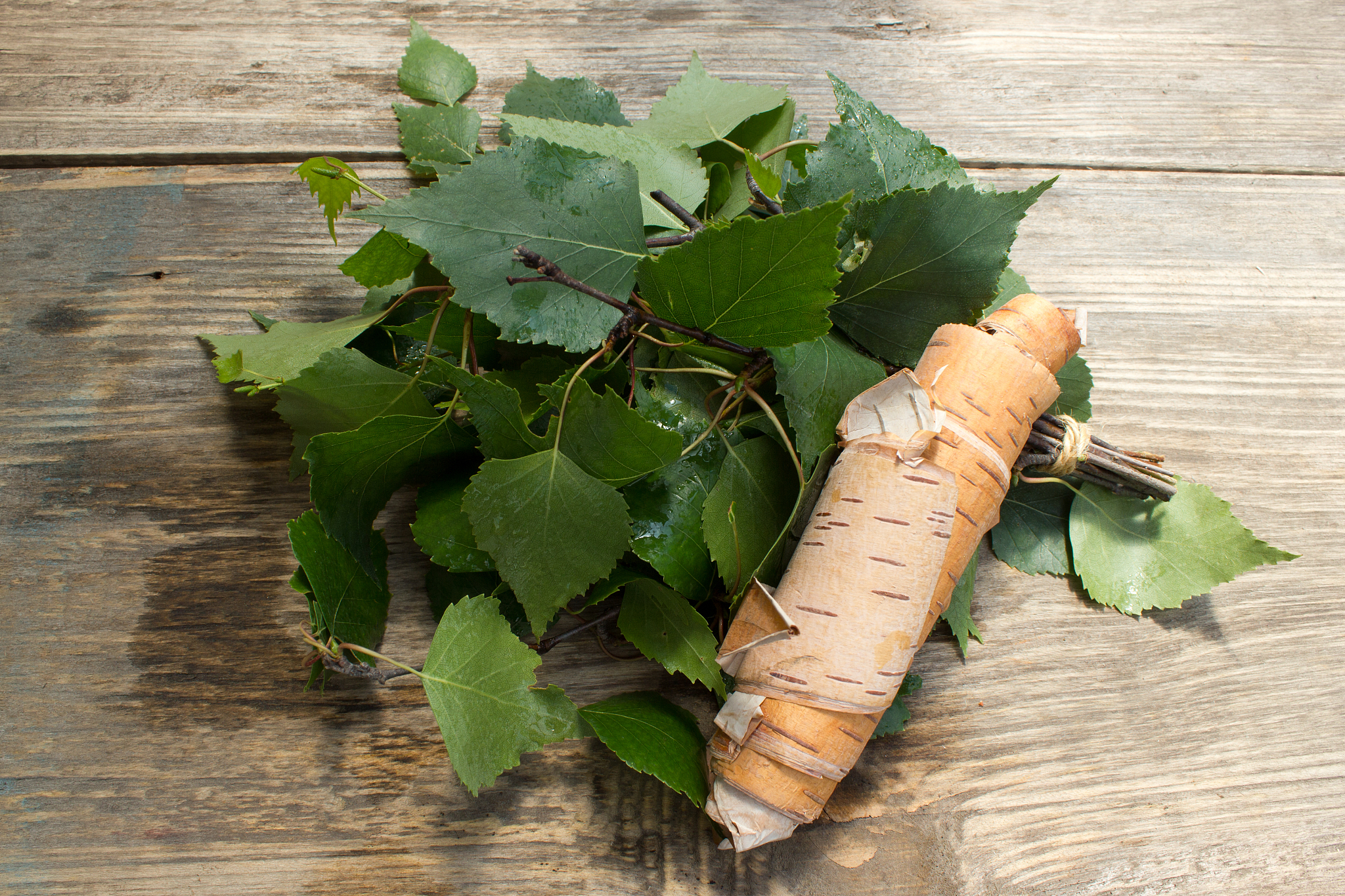 green leaves and birch bark on a wooden background