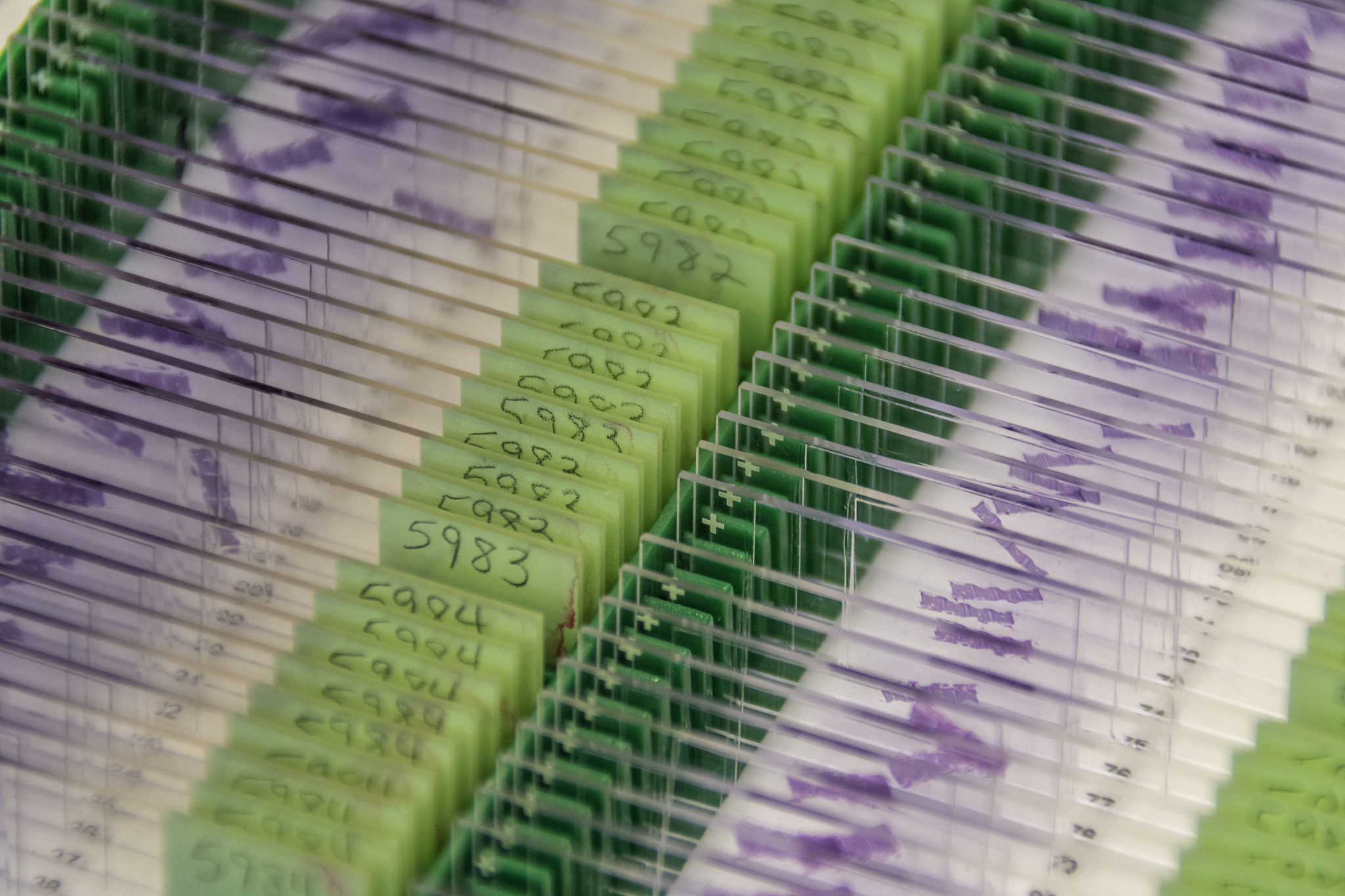 常微分方程是数学研究中一个重要的组成部分也是具有着悠久历史并不断发展分支的学科包含关于它的理论研究及实际应用领域