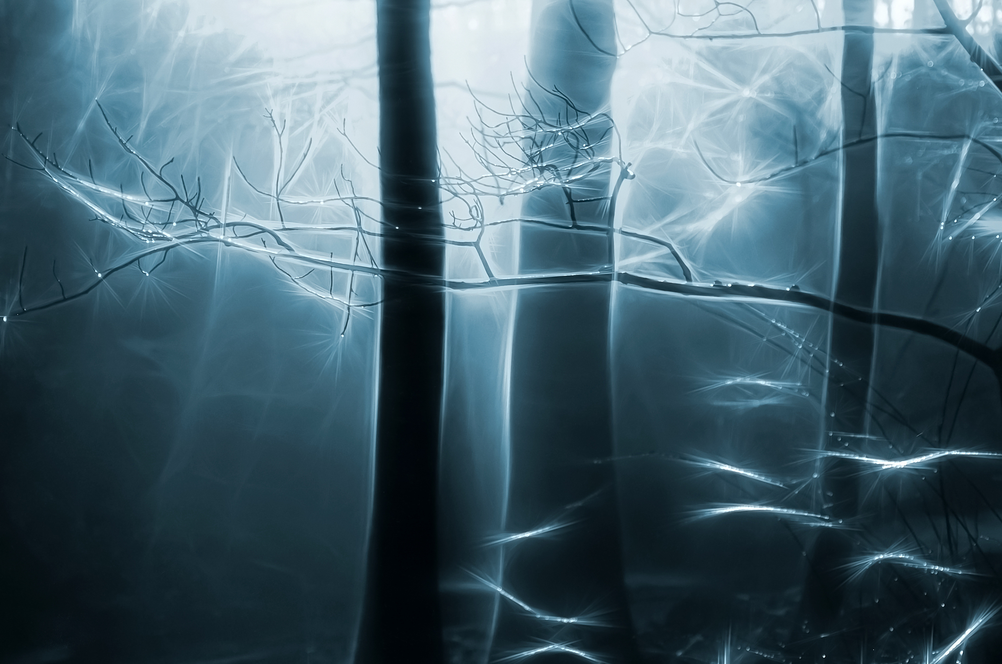 黄冈美术绘画学校建筑装饰有前途吗？需满足哪些招生条件