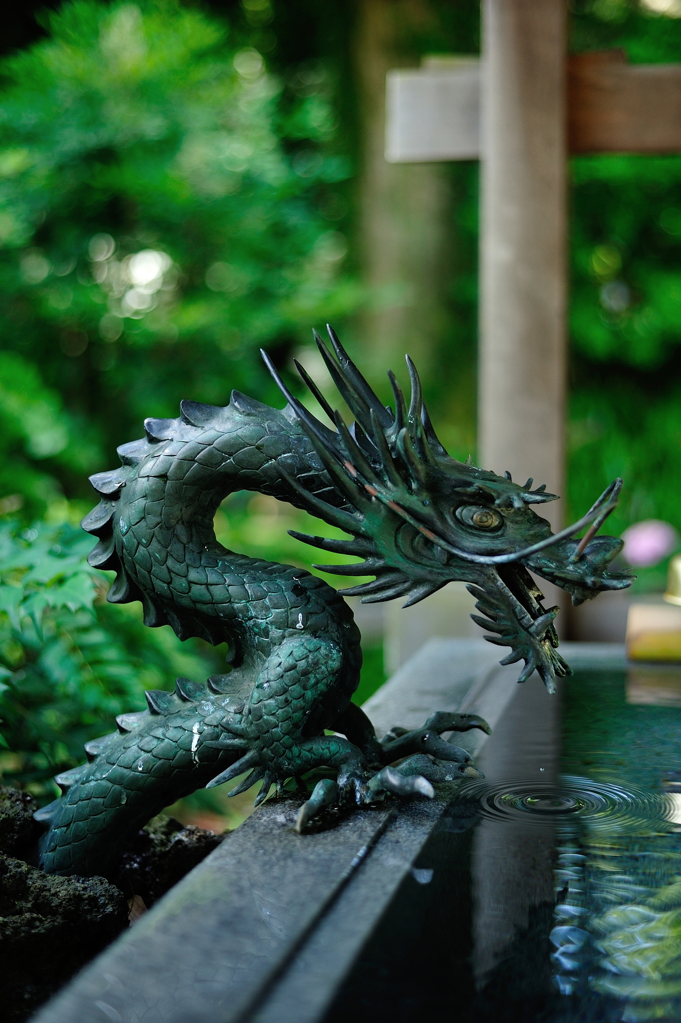 a small dragon