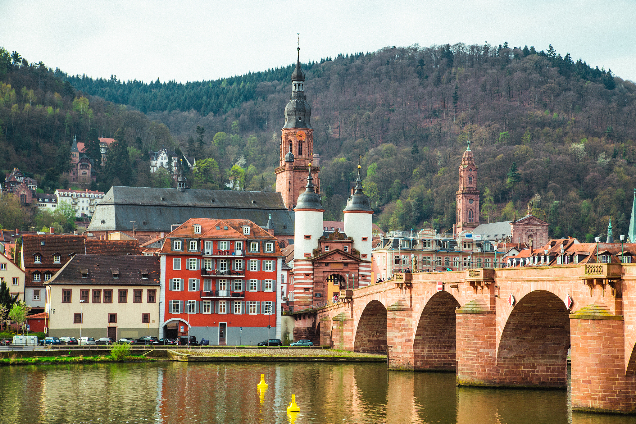 heidelberg city panorama with neckar river, baden-wurttemberg, g