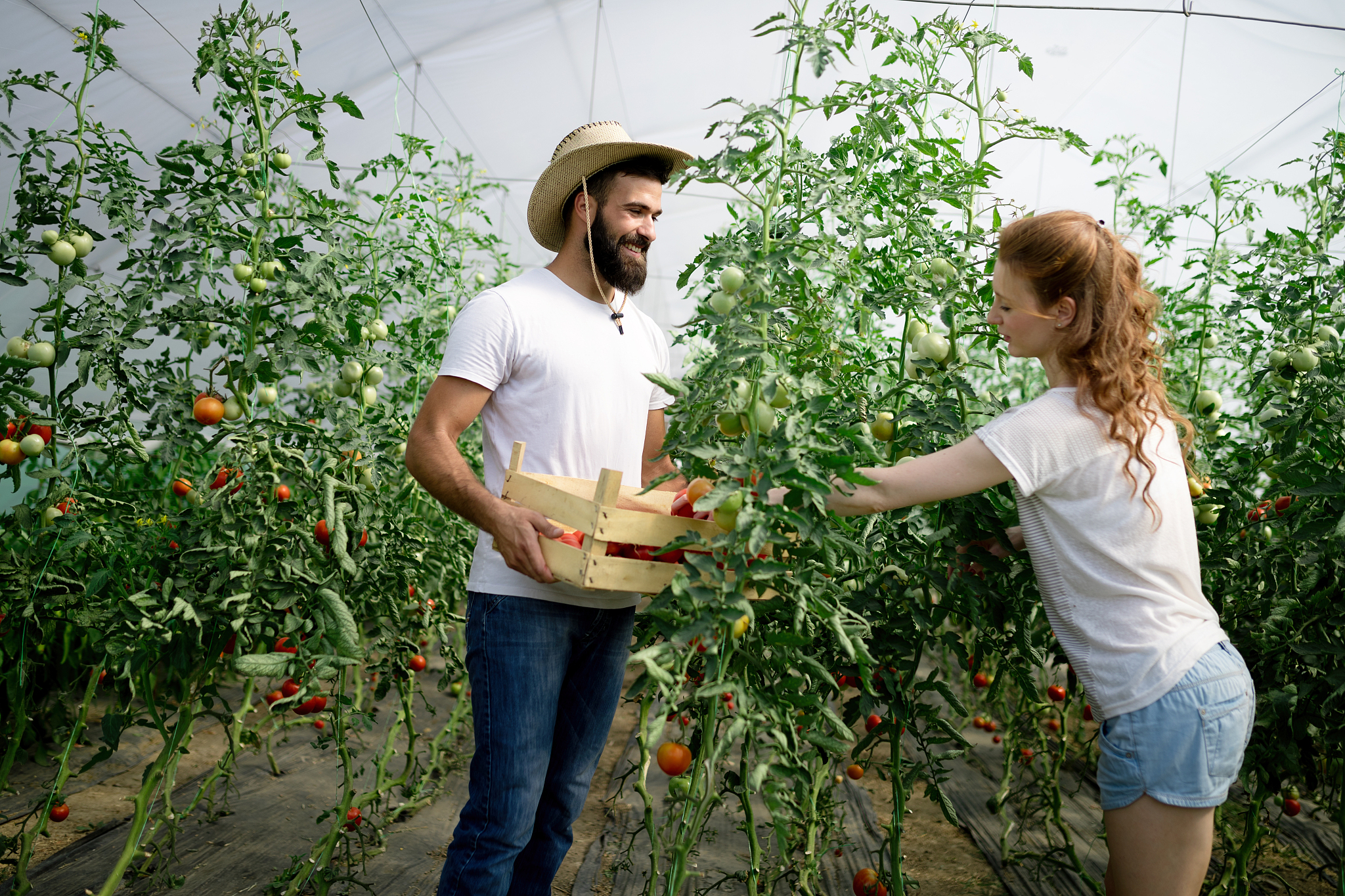 曲靖农业学校2019年五年制大专最新招生信息