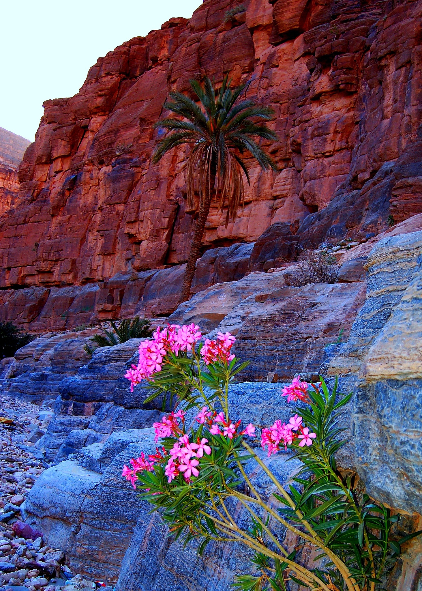 QQ被盗号怎么办？实名信息和密保被改如何找回？