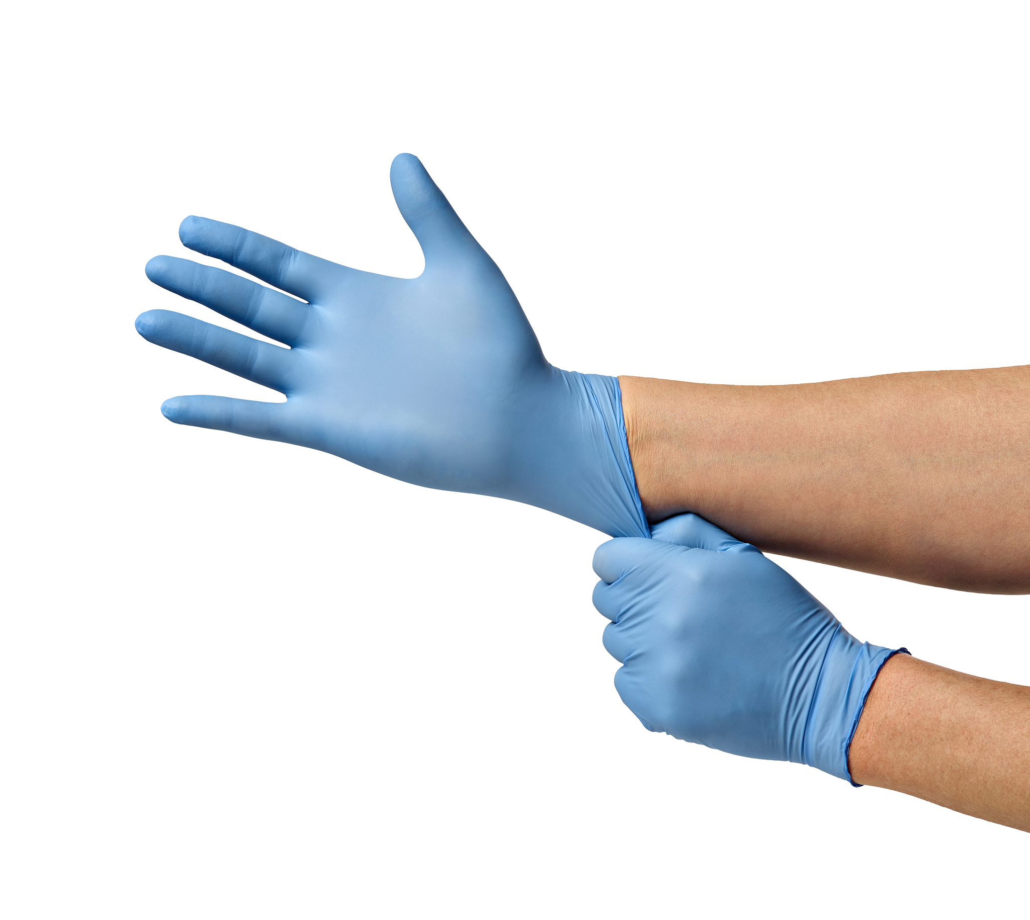 latex glove protective protection virus medical health hygiene h