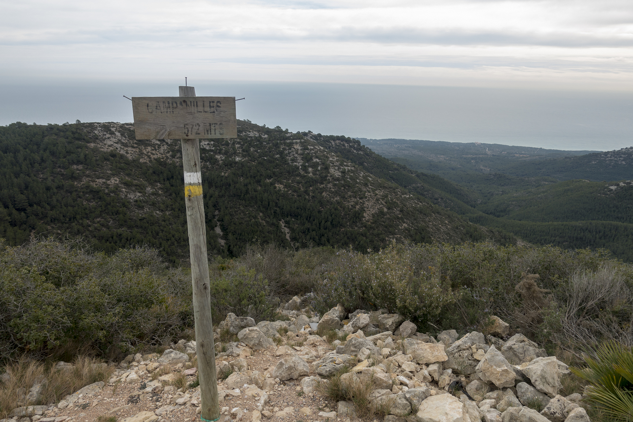 the sea from the top of the mountain in the sierra de irta