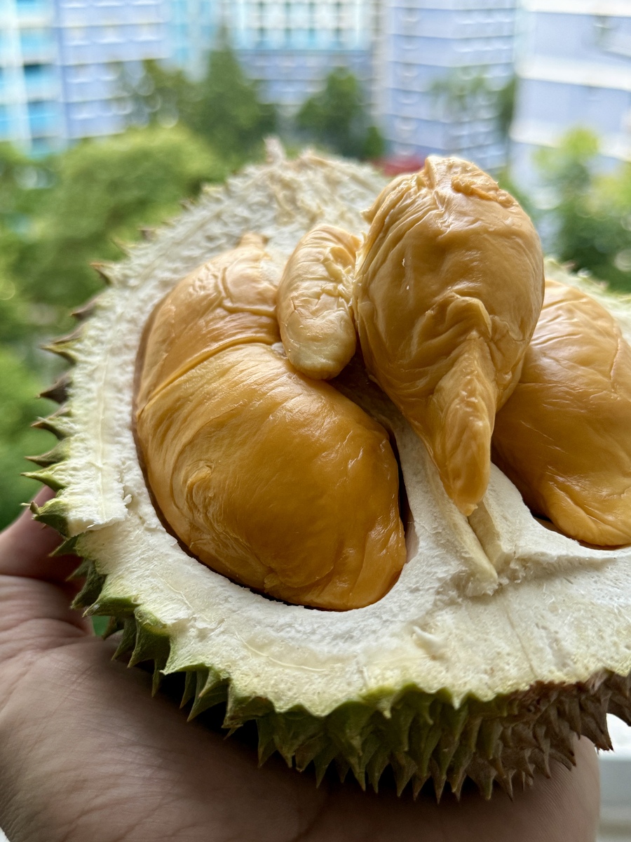 榴莲吃多了会怎样