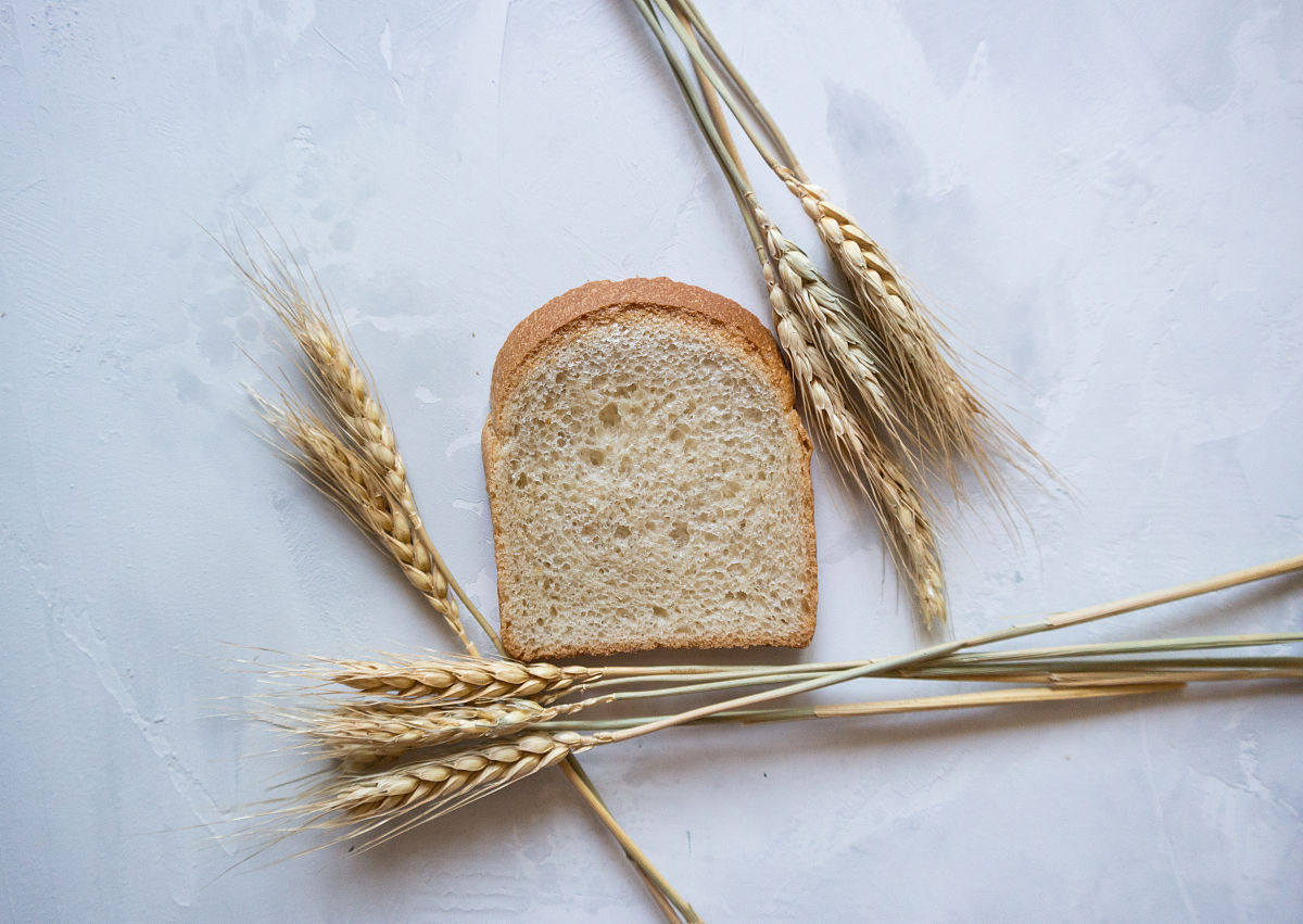 平原县职业中等专业学校2023年有哪些专业？