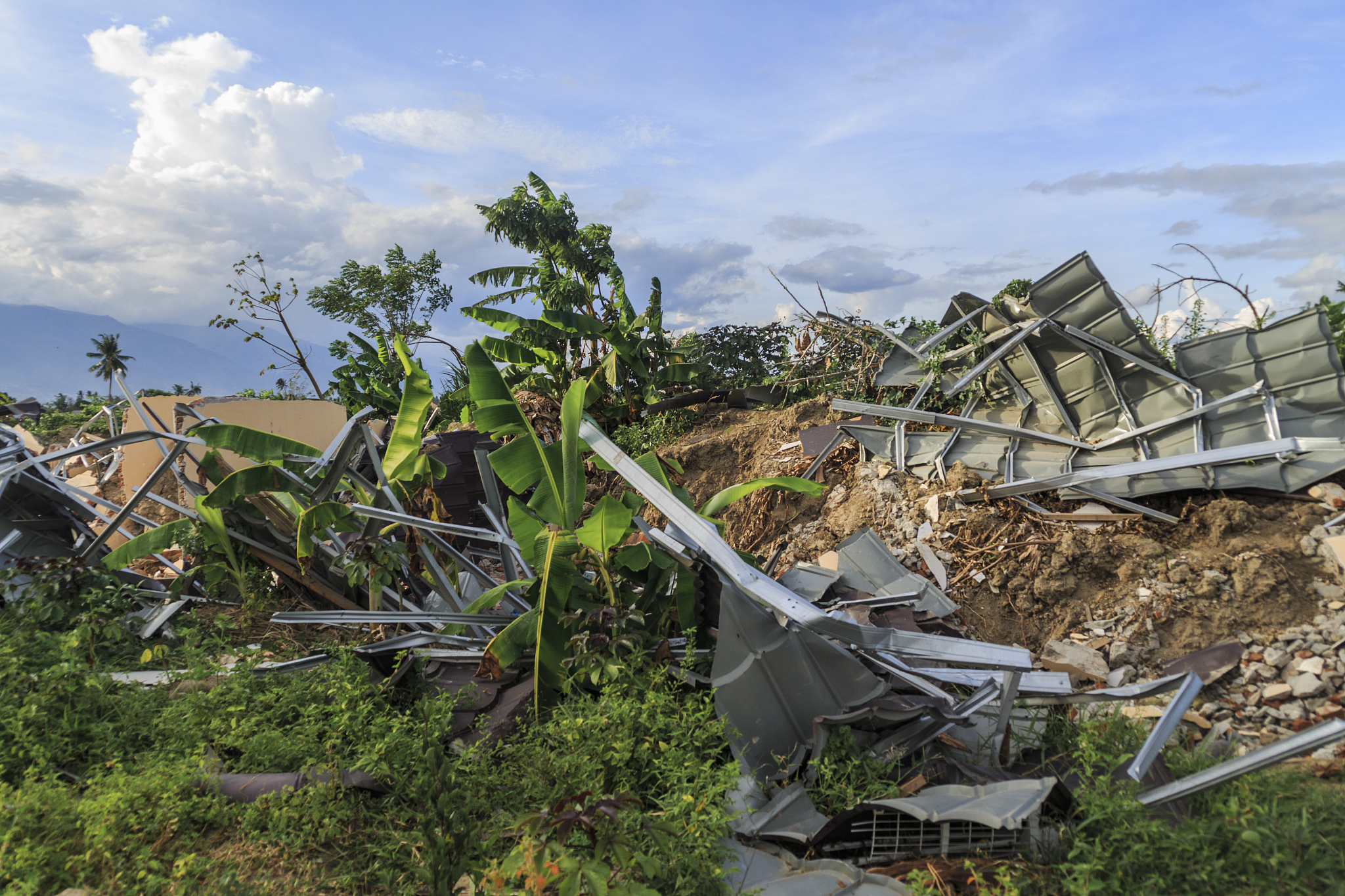 请翻译目前货主提出的损失主要为货物热损损导致的损失并且他们认为全船货物均已经受损其中16771吨被认为严重受损。在现场检验中我们在货物中也确实发现了热损粒。