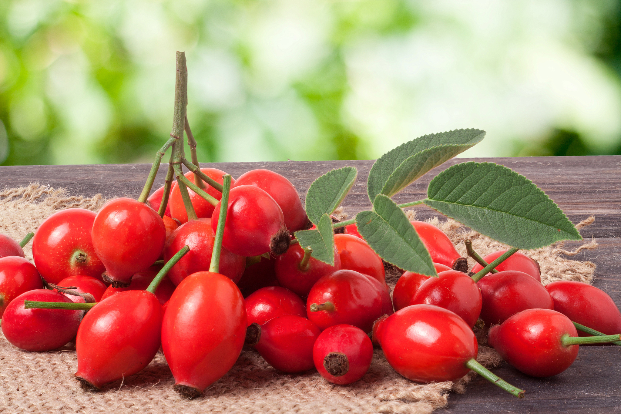 fresh rose hips on a dark board with sackcloth and