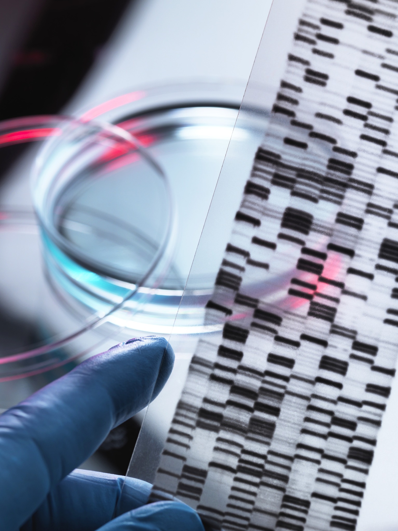 高中生物必修2 DNA 大单元教学策略研究