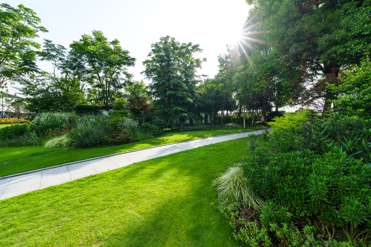 园林绿化专业有没有行业前景