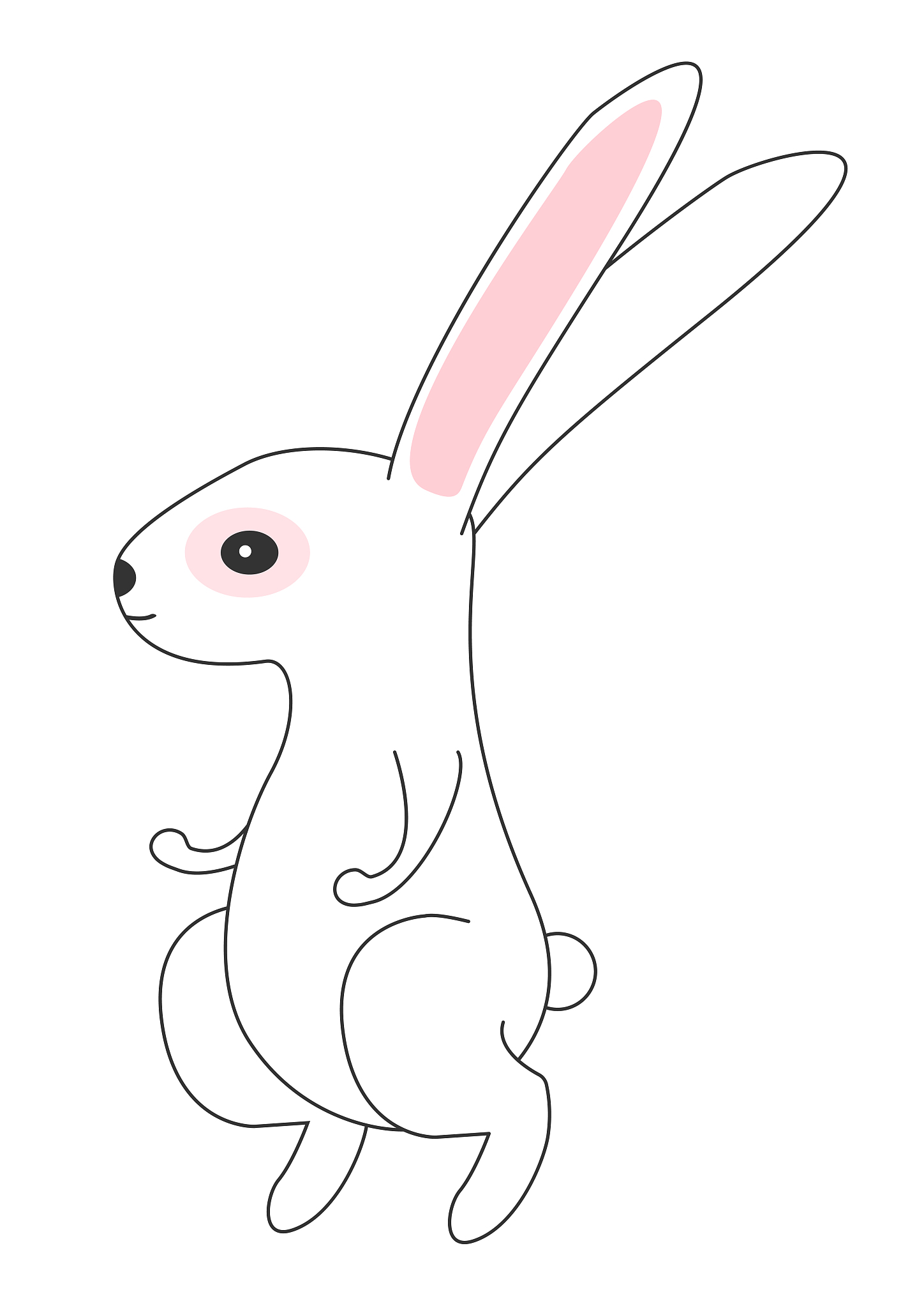 生肖兔性格解析：温和、聪明、谨慎，职场生活皆出色