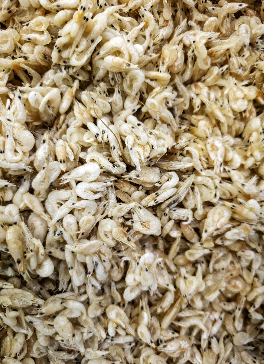 虾体发黄的原因：从胆固醇氧化到腐败变质