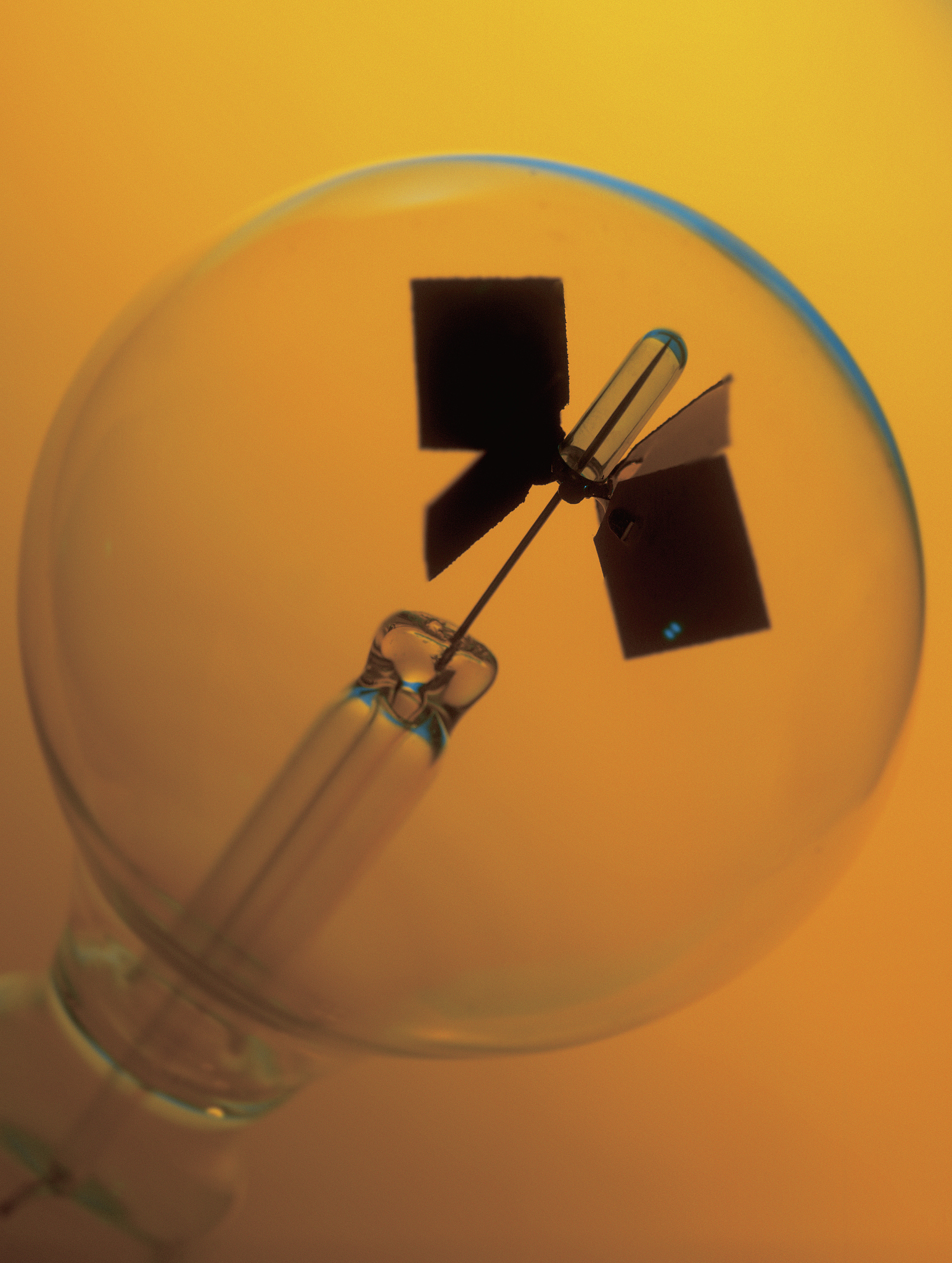 玻璃百合巷实验中，张白纸挡住部分光线，为什么还能看到蜡烛像？