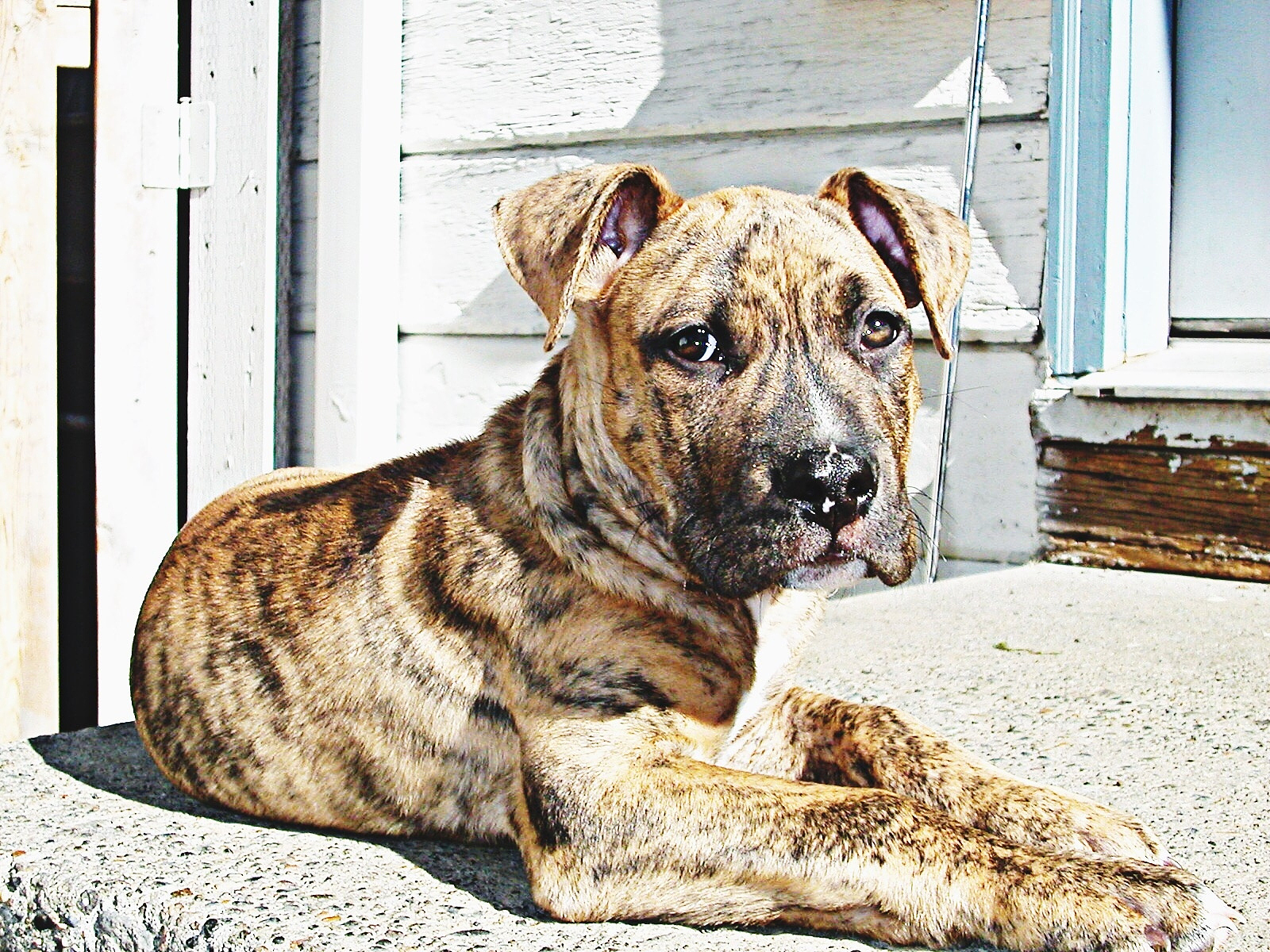 武汉市农业学校宠物养护与经营专业就业如何？