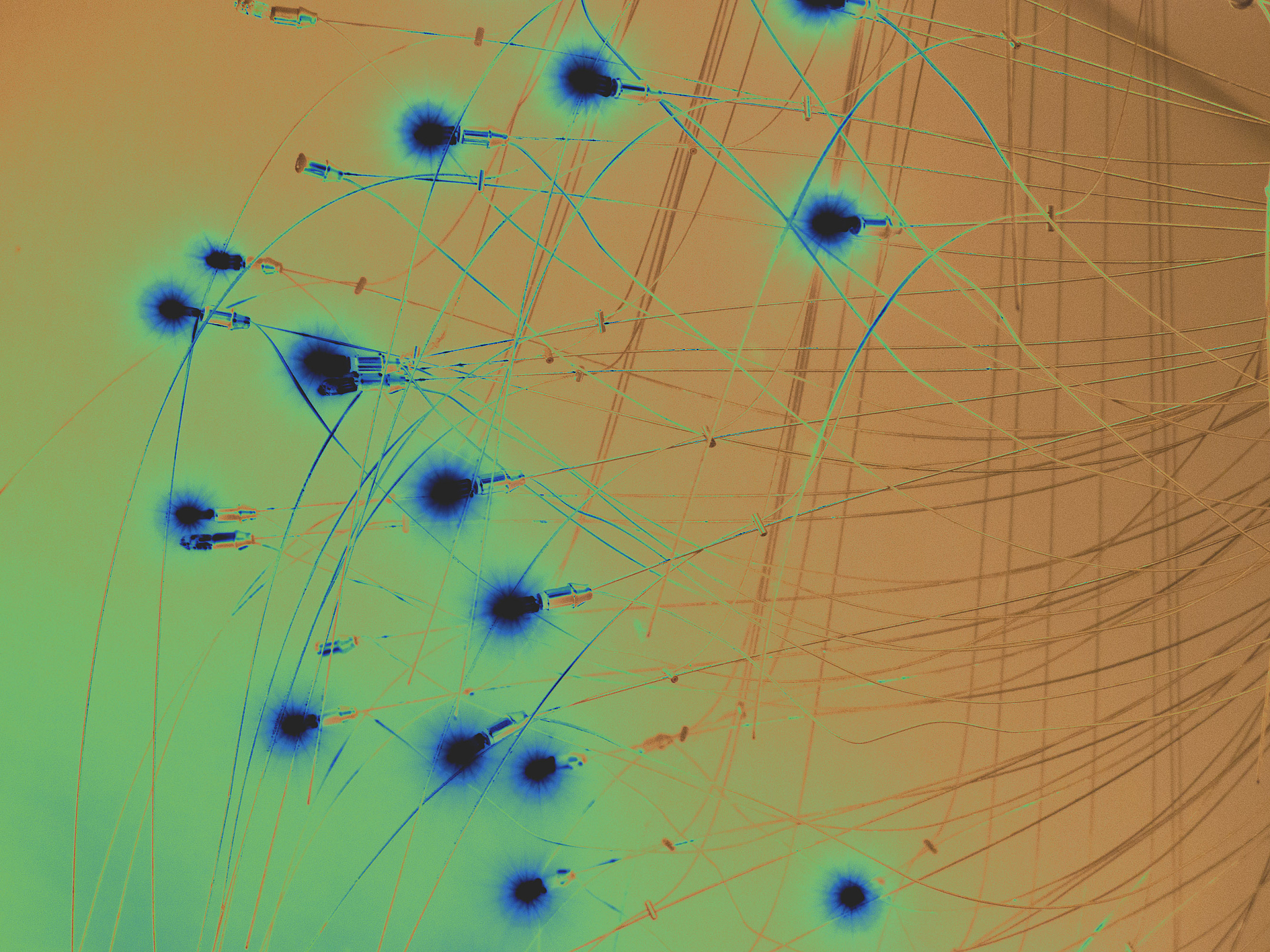 江西生物科技职业学院现代农业技术专业优势怎么样发展前景好不好呢