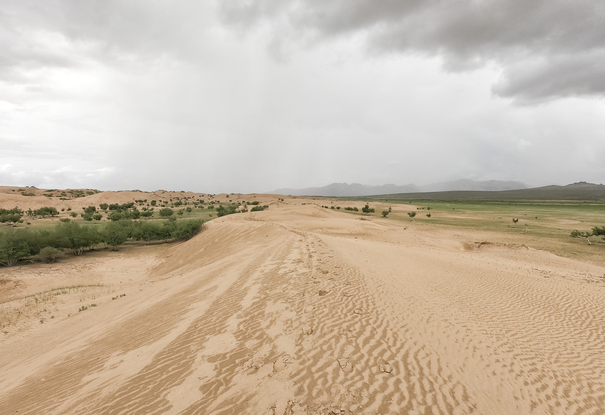 bayan gobi sand dunes, mongolia