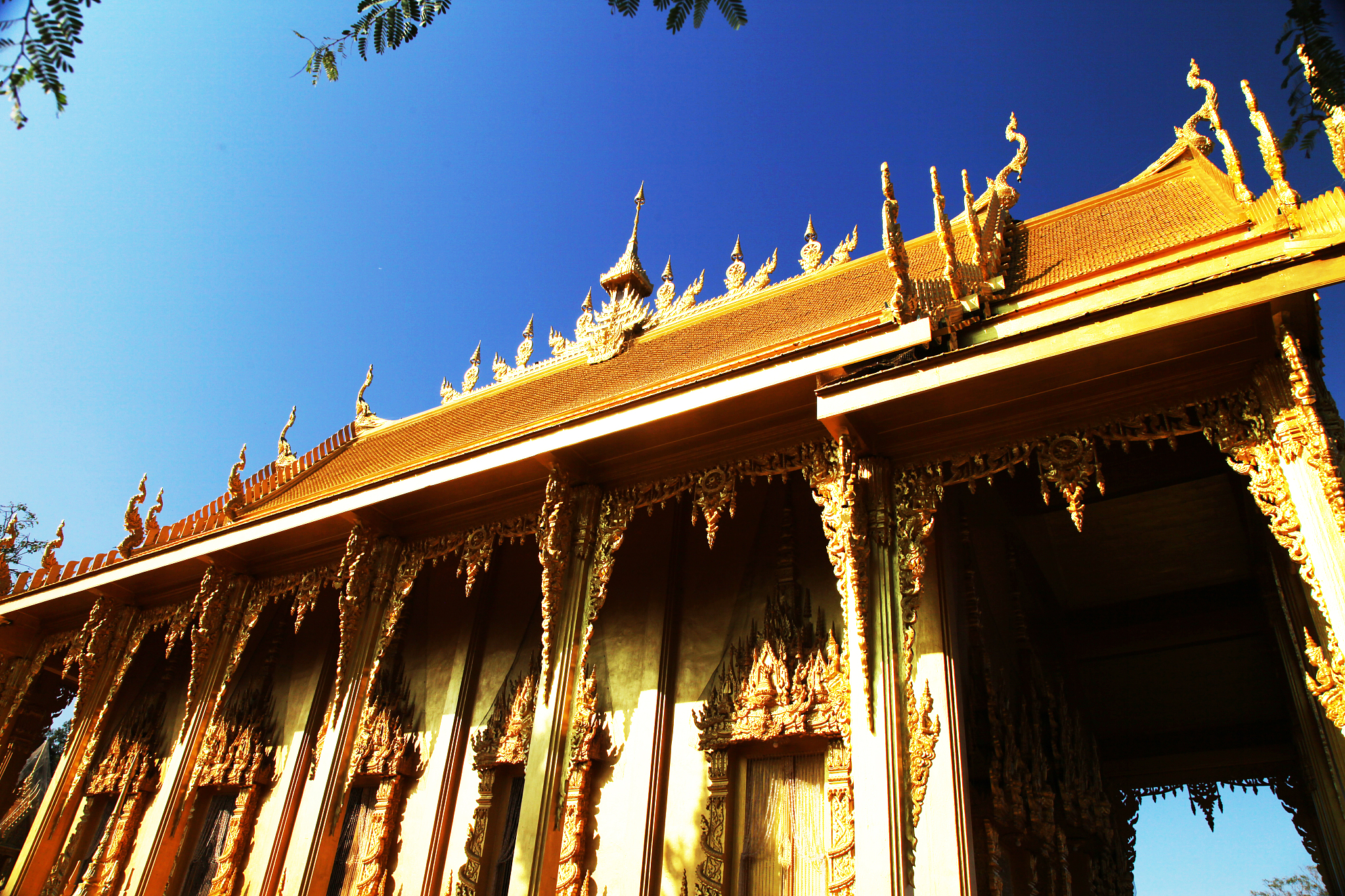 编写柏煊蕤的性格爱好