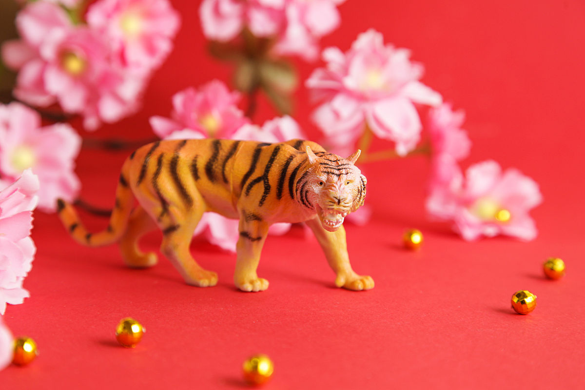 生肖虎的运气咋样帮我用250字详细描述