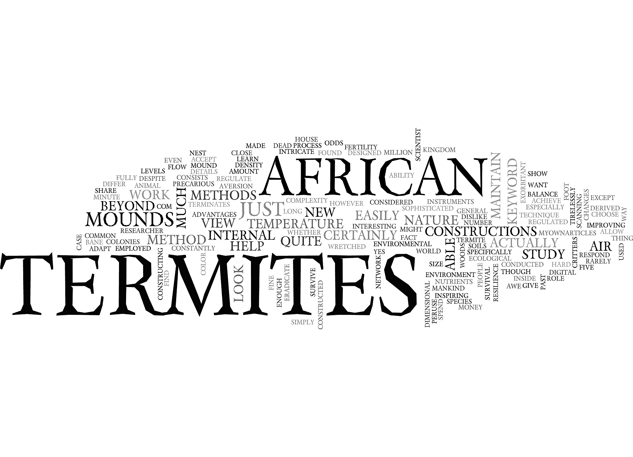 african termites text word cloud concept