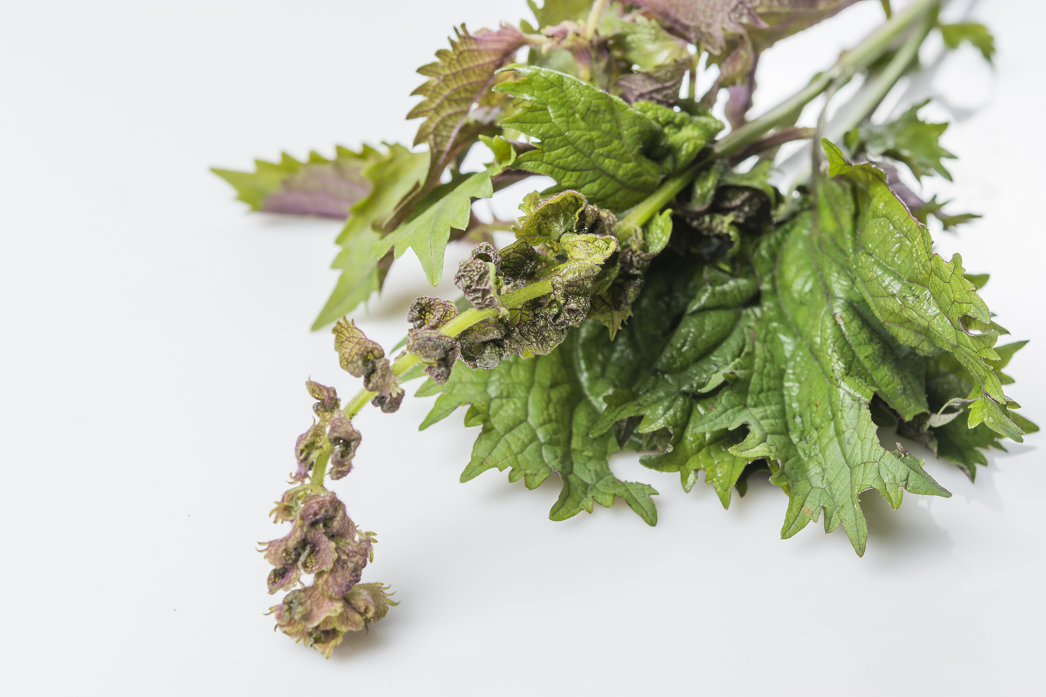 赣南中医药学校VRUI设计专业学制是几年-怎么样