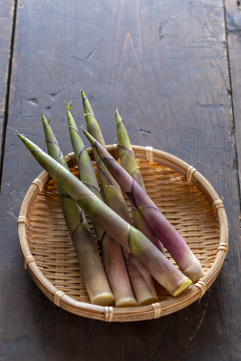 泥竹笋可以吃吗