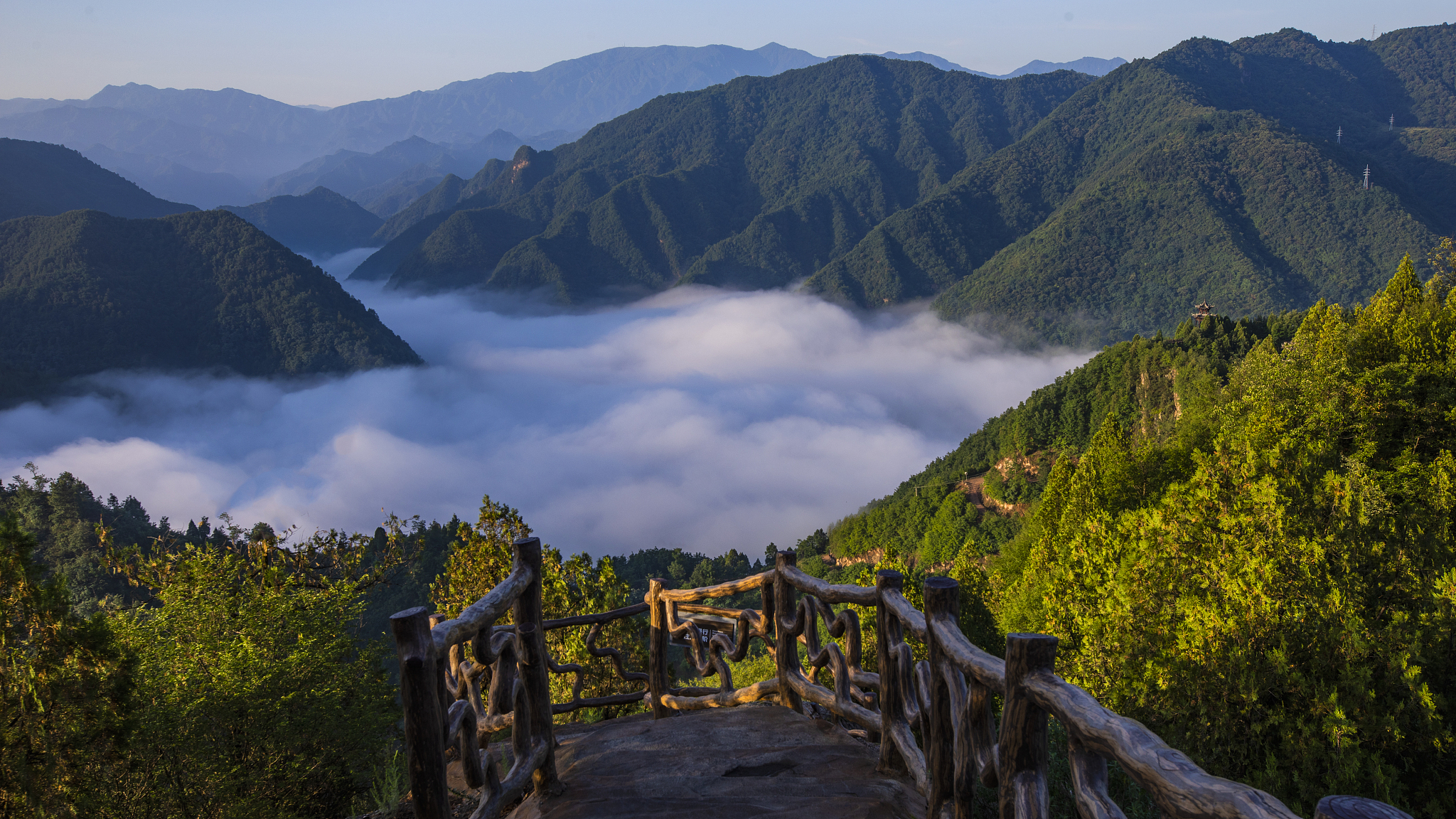 在宝鸡植物园去九龙山怎么坐车帮我用210字详细描述