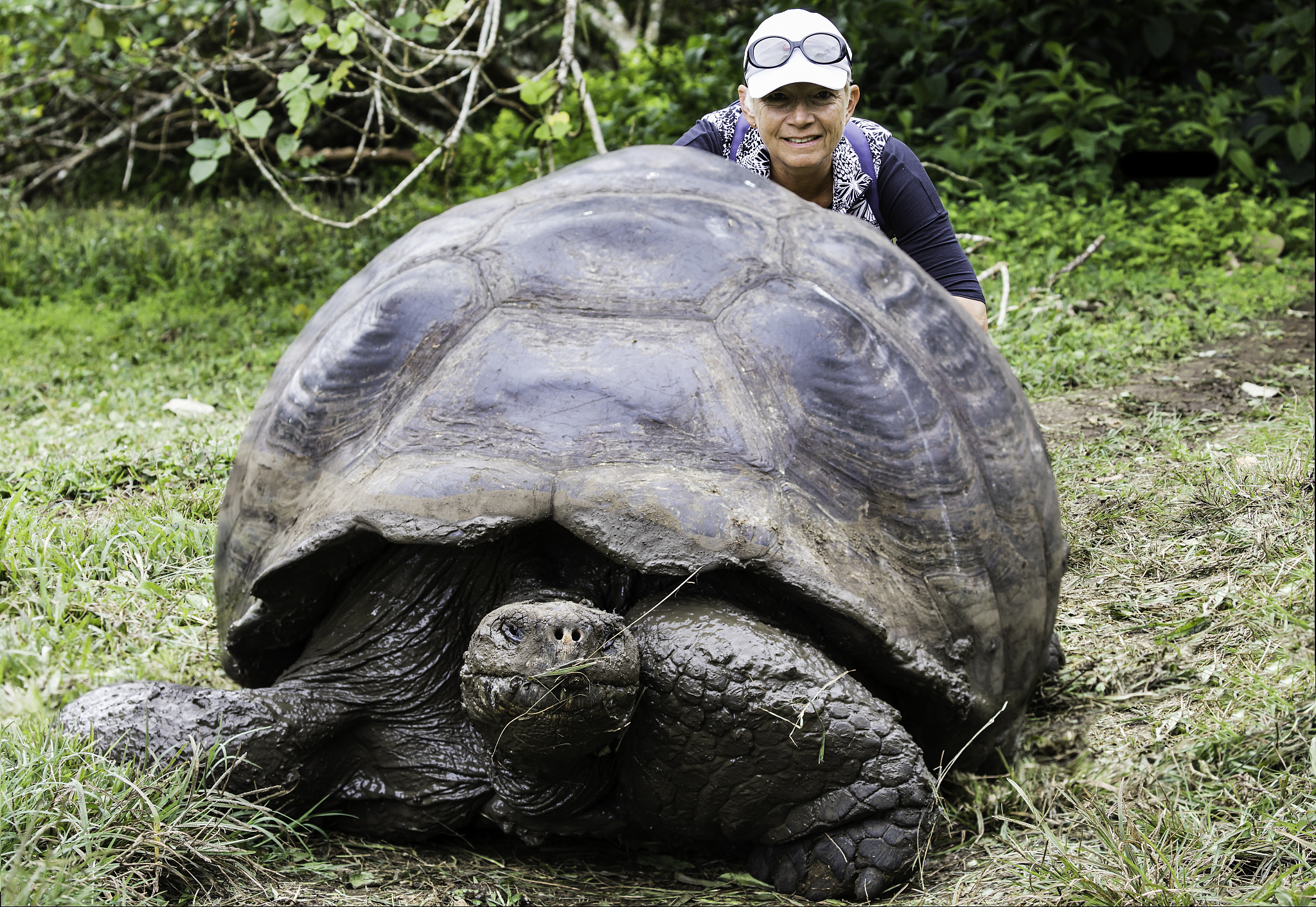 tortoise with a woman