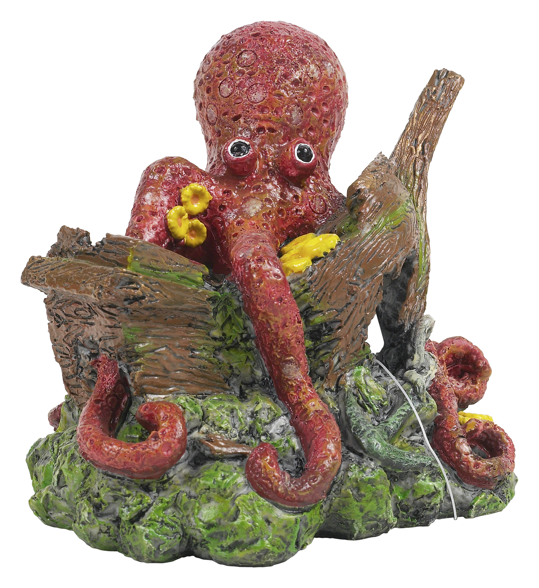 5个令人惊叹的趣闻，让你大开眼界！