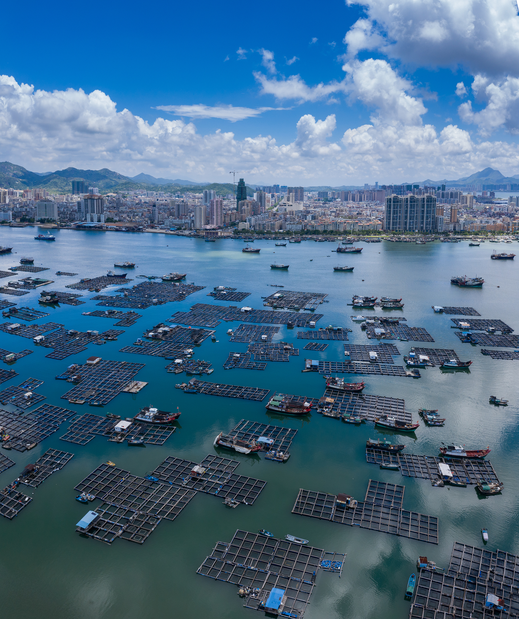 广东海洋大学海洋渔业科学与技术专业怎么样？前景解析