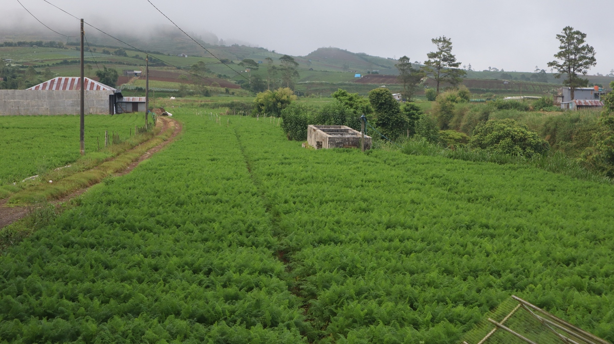 学中草药栽培与鉴定专业需要具备哪些技能