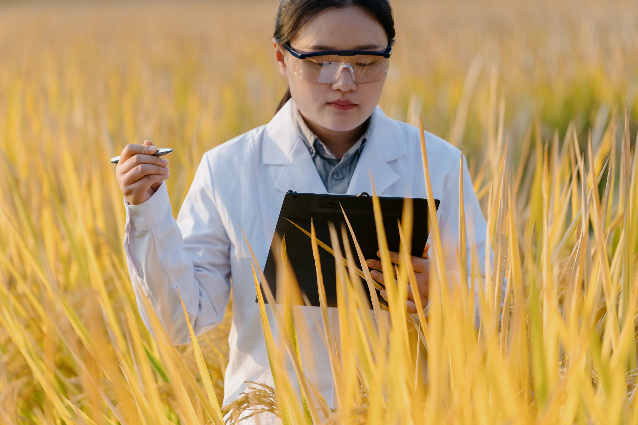 Chilean Journal of Agricultural Research期刊范围 - 农业科学研究