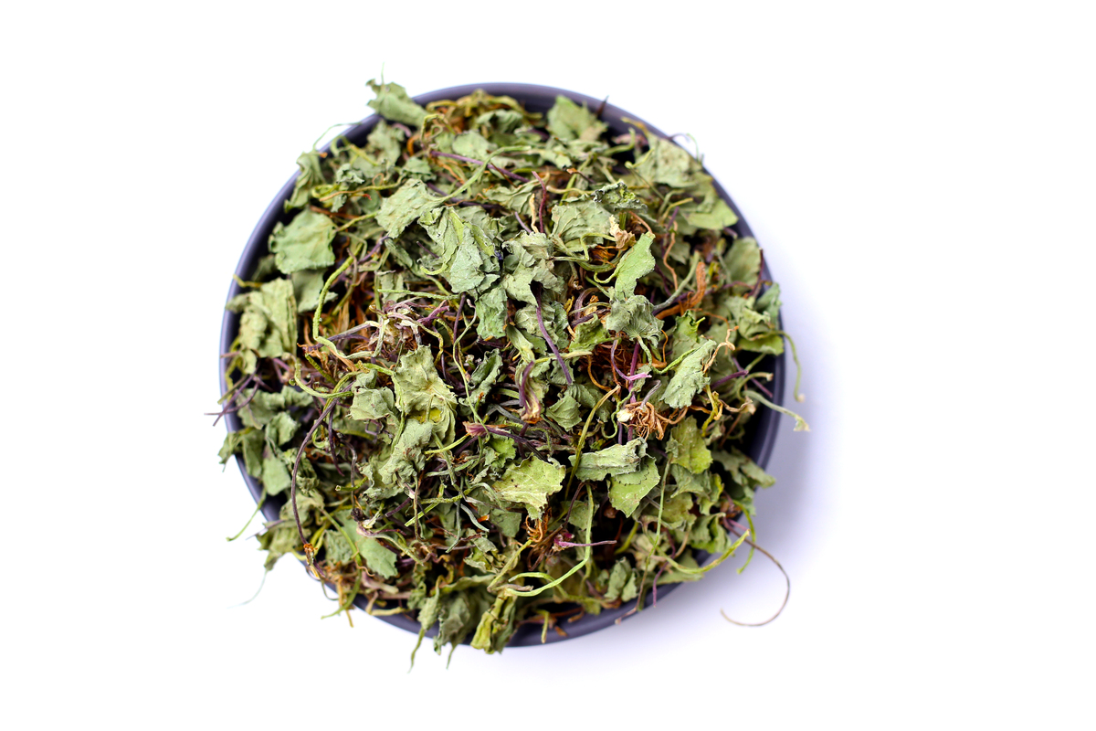 中药罗布麻对抗抑郁作用