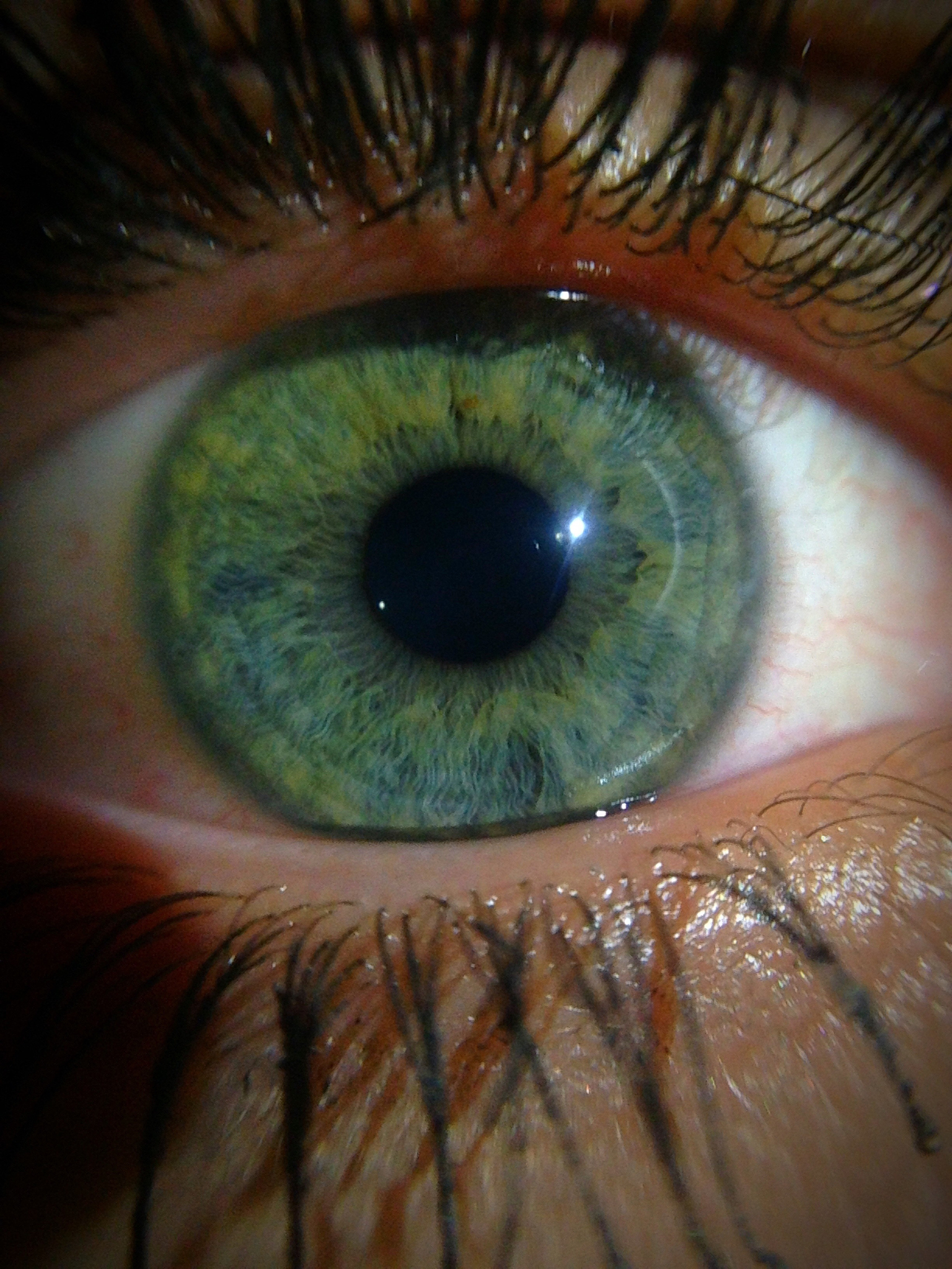 close-up of human eye